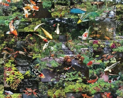 Koi, Koi, Koi 1000 piece puzzle