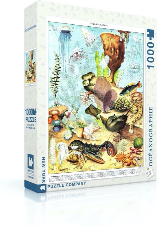 Oceanographie 1000 piece puzzle