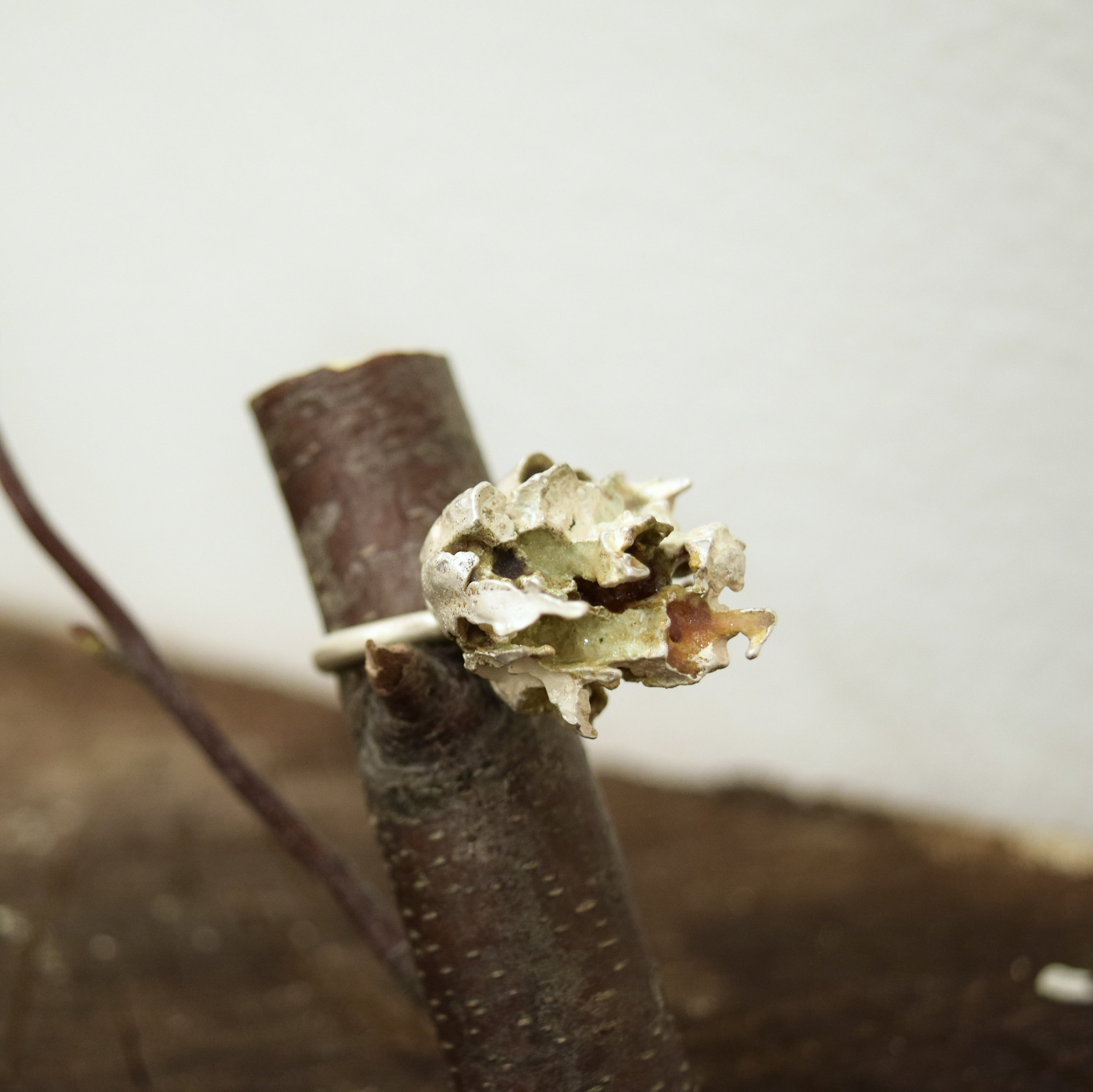 4-Wasp Nest ring IV.jpg