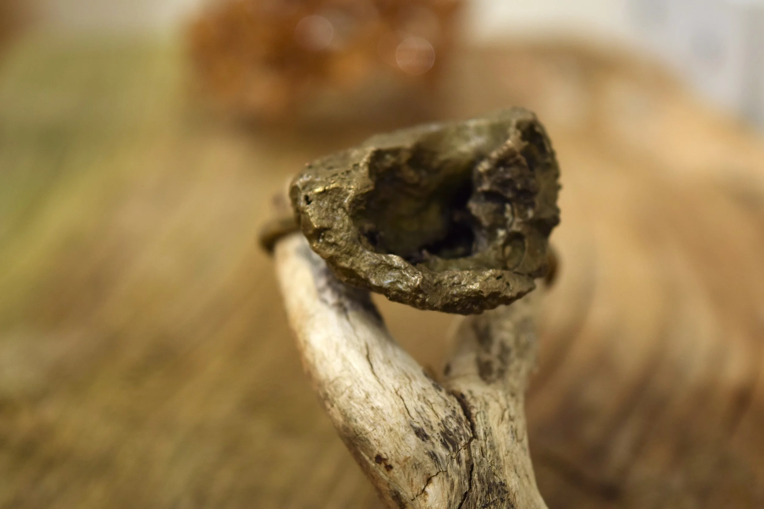 Squirrel's Snack ring.JPG