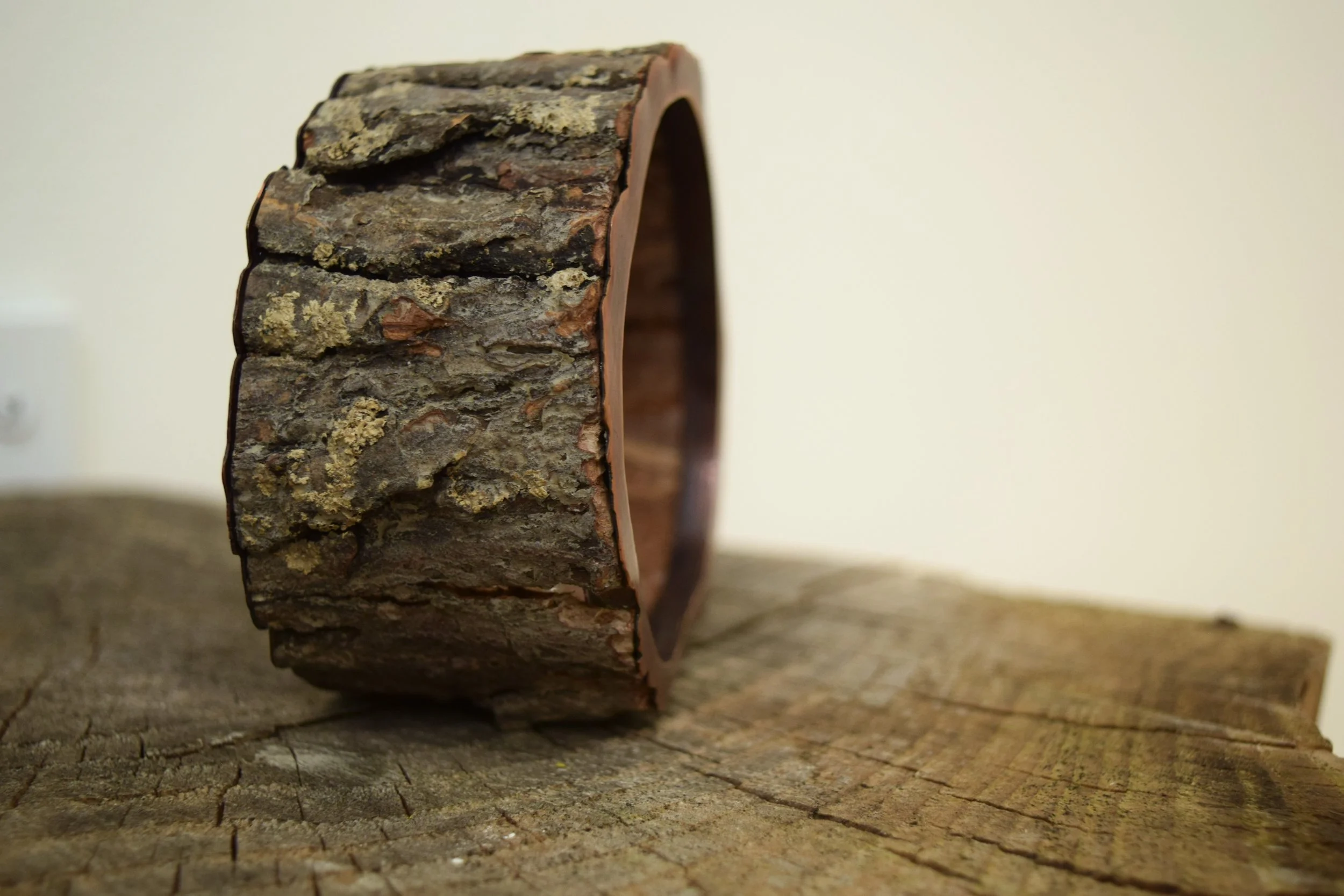 A Woodworker’s Trash, is a Metalsmith’s Treasure II.JPG