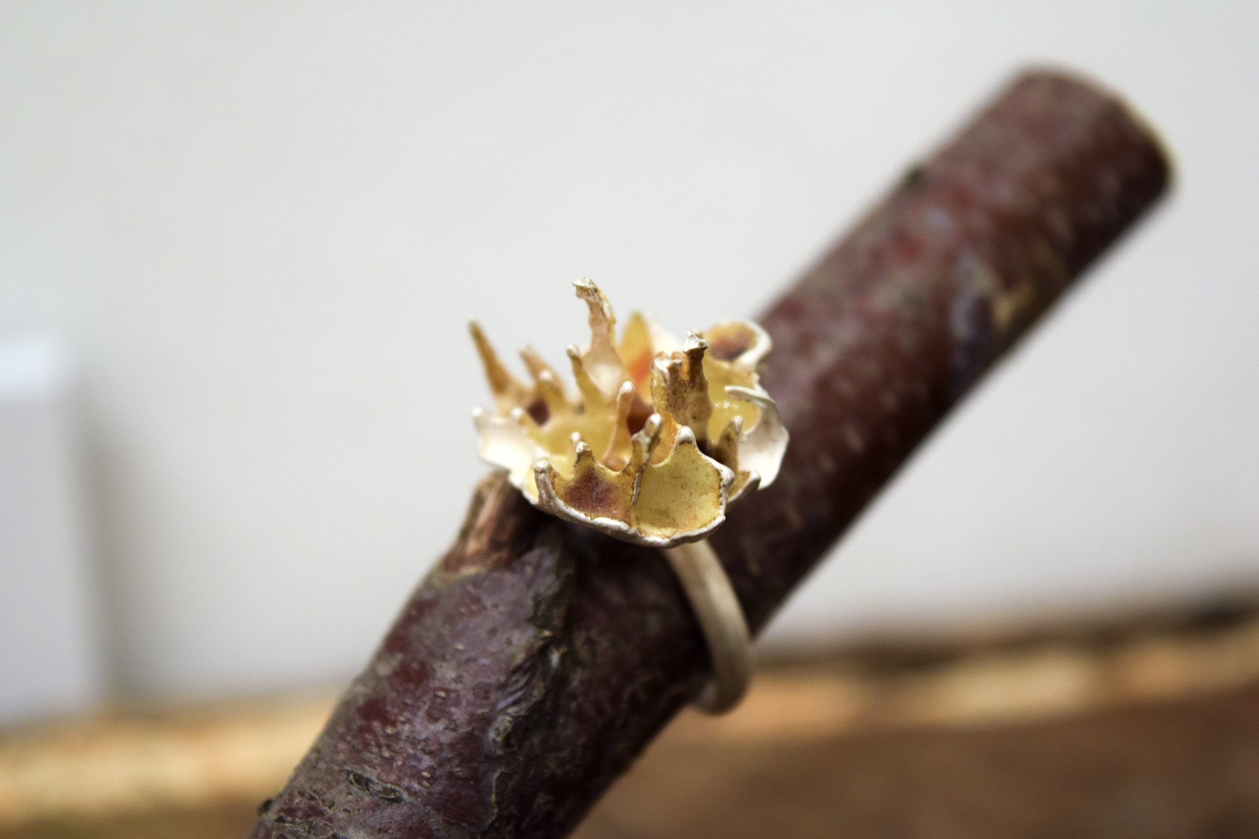 Wasp Nest ring II.jpg