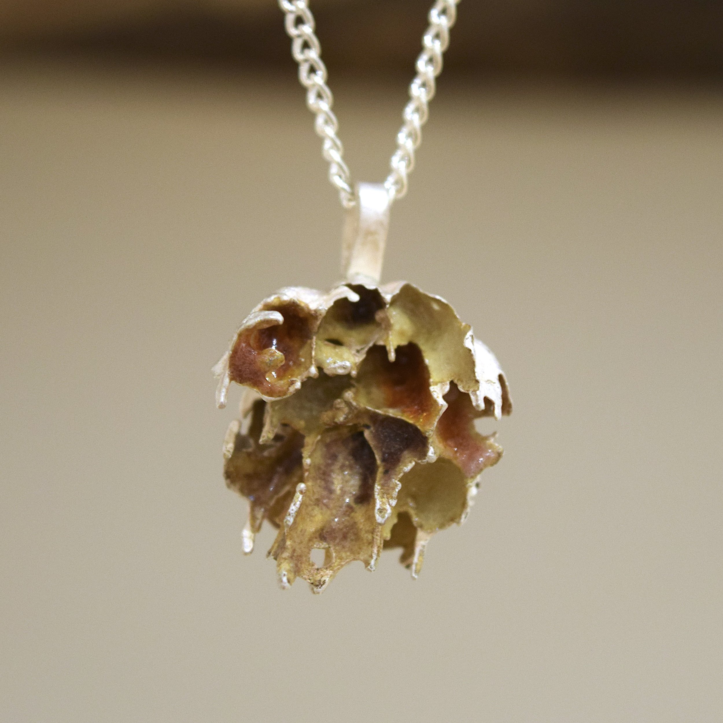 Wasp Nest Series