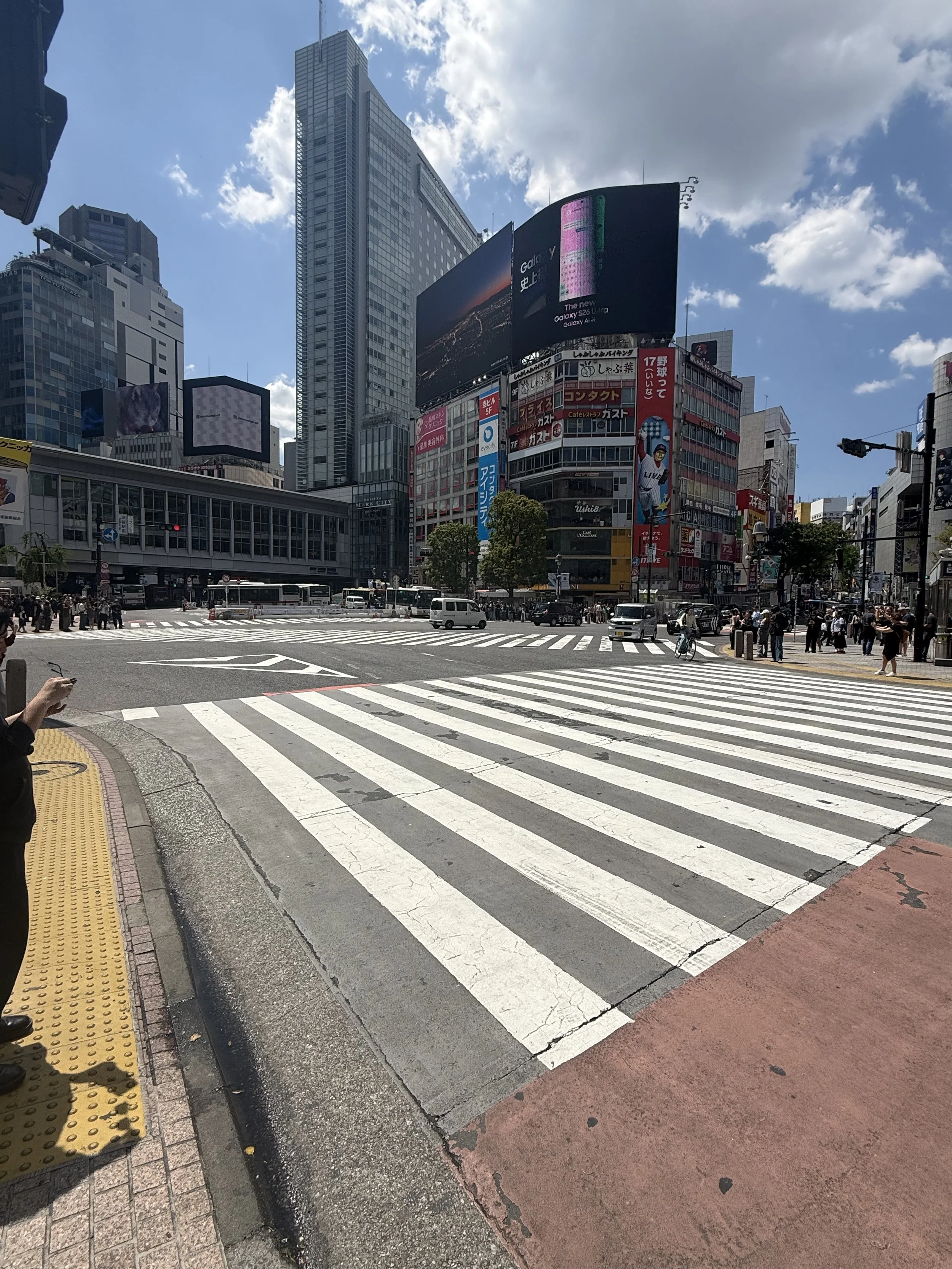 IMG_8691.jpeg