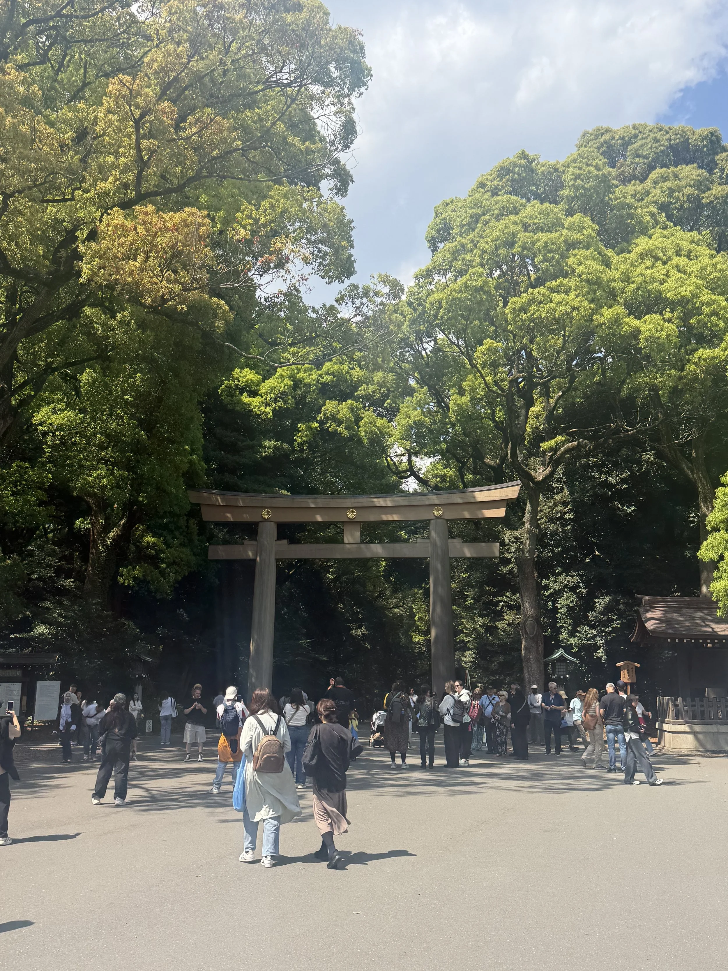 IMG_8704.jpeg