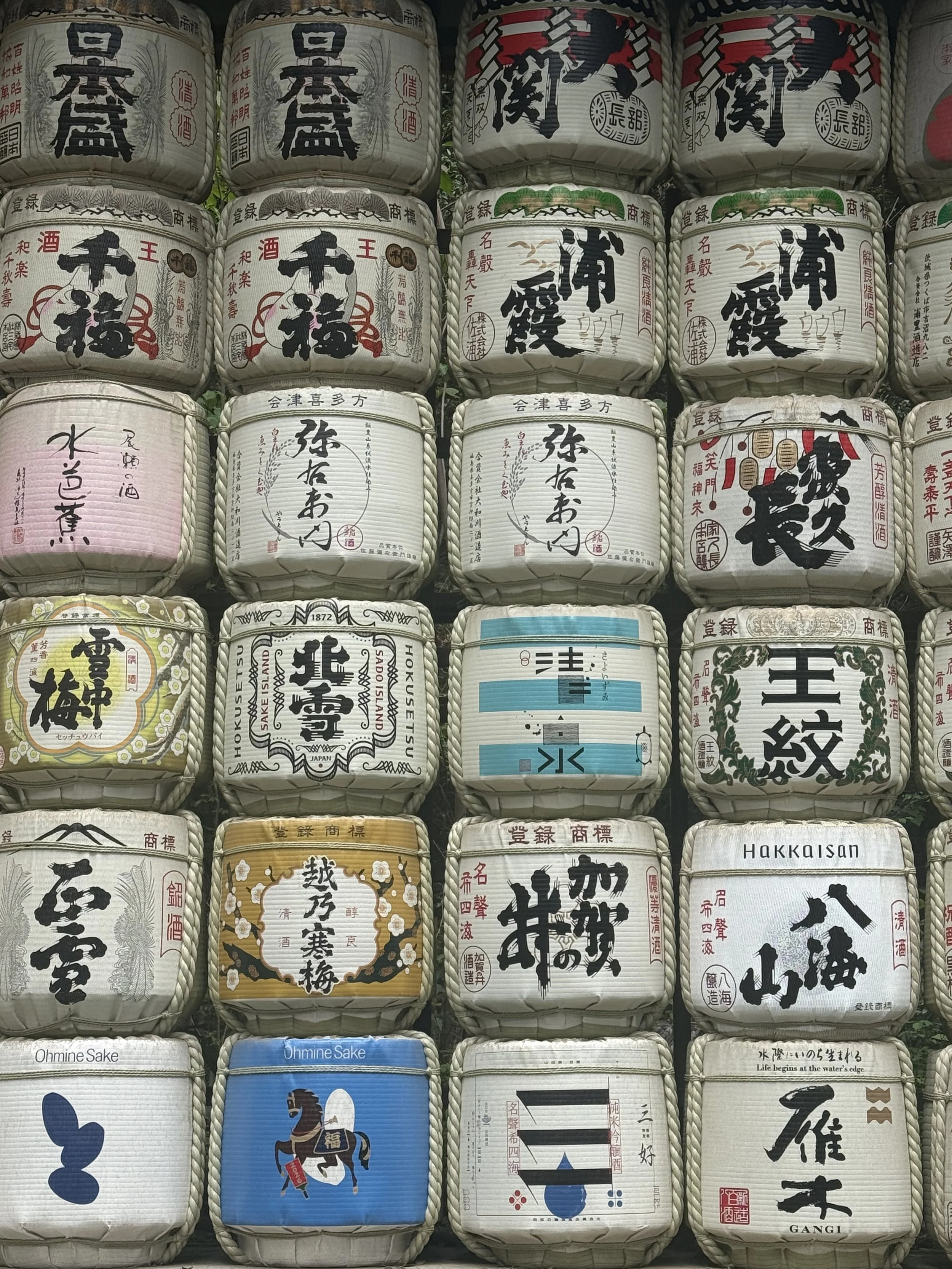 IMG_8709.jpeg