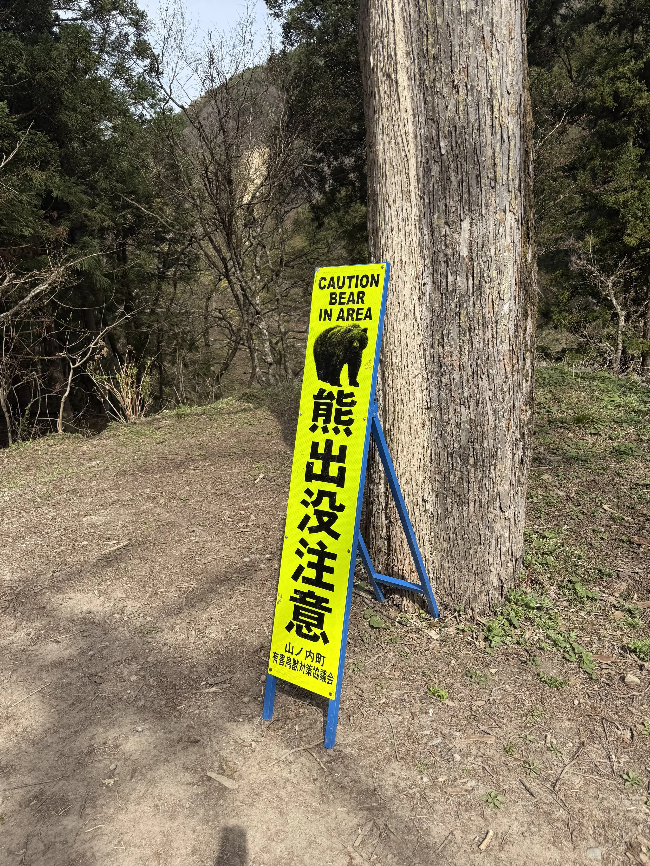 IMG_9169.jpeg