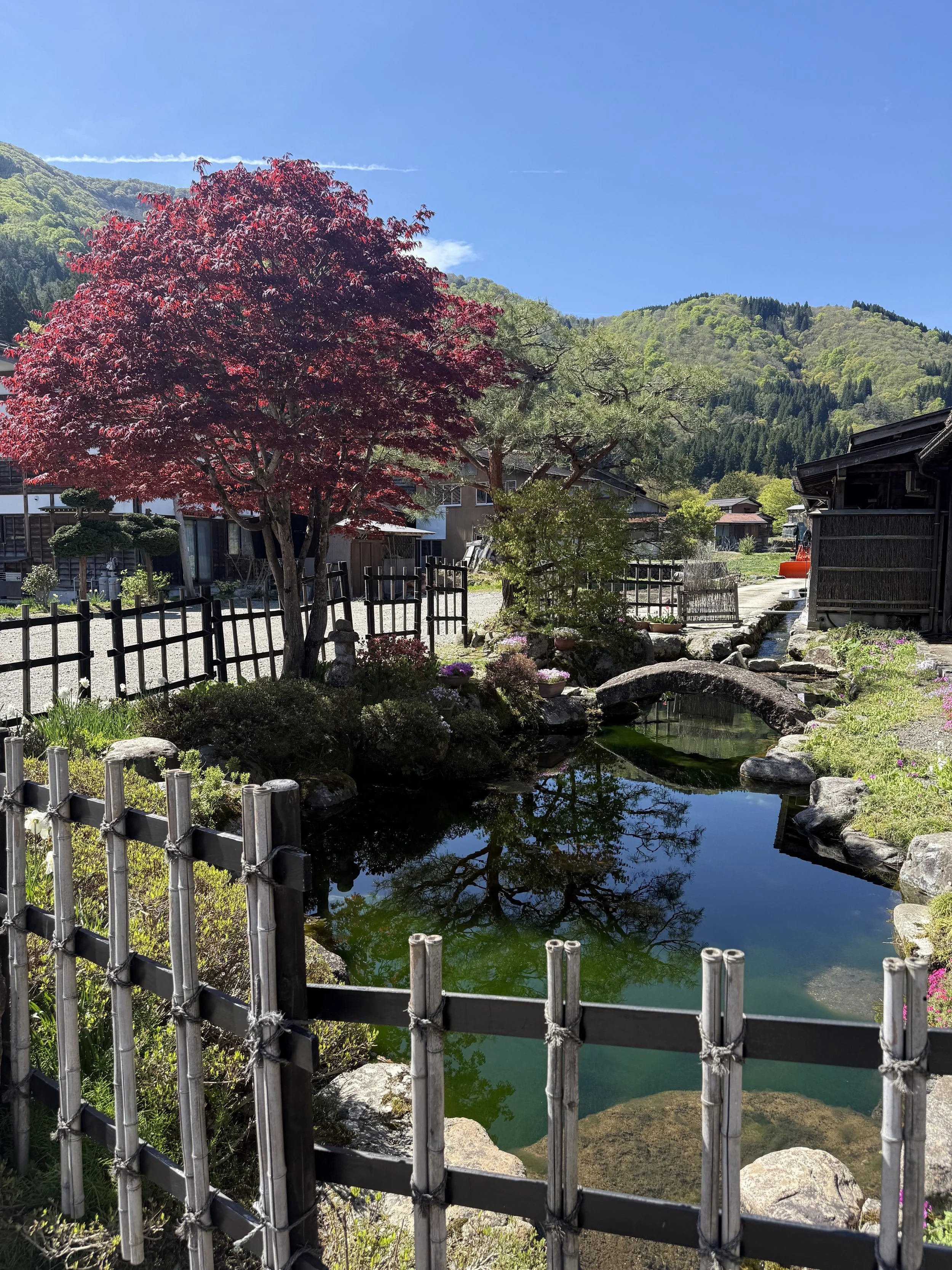 IMG_9386.jpeg