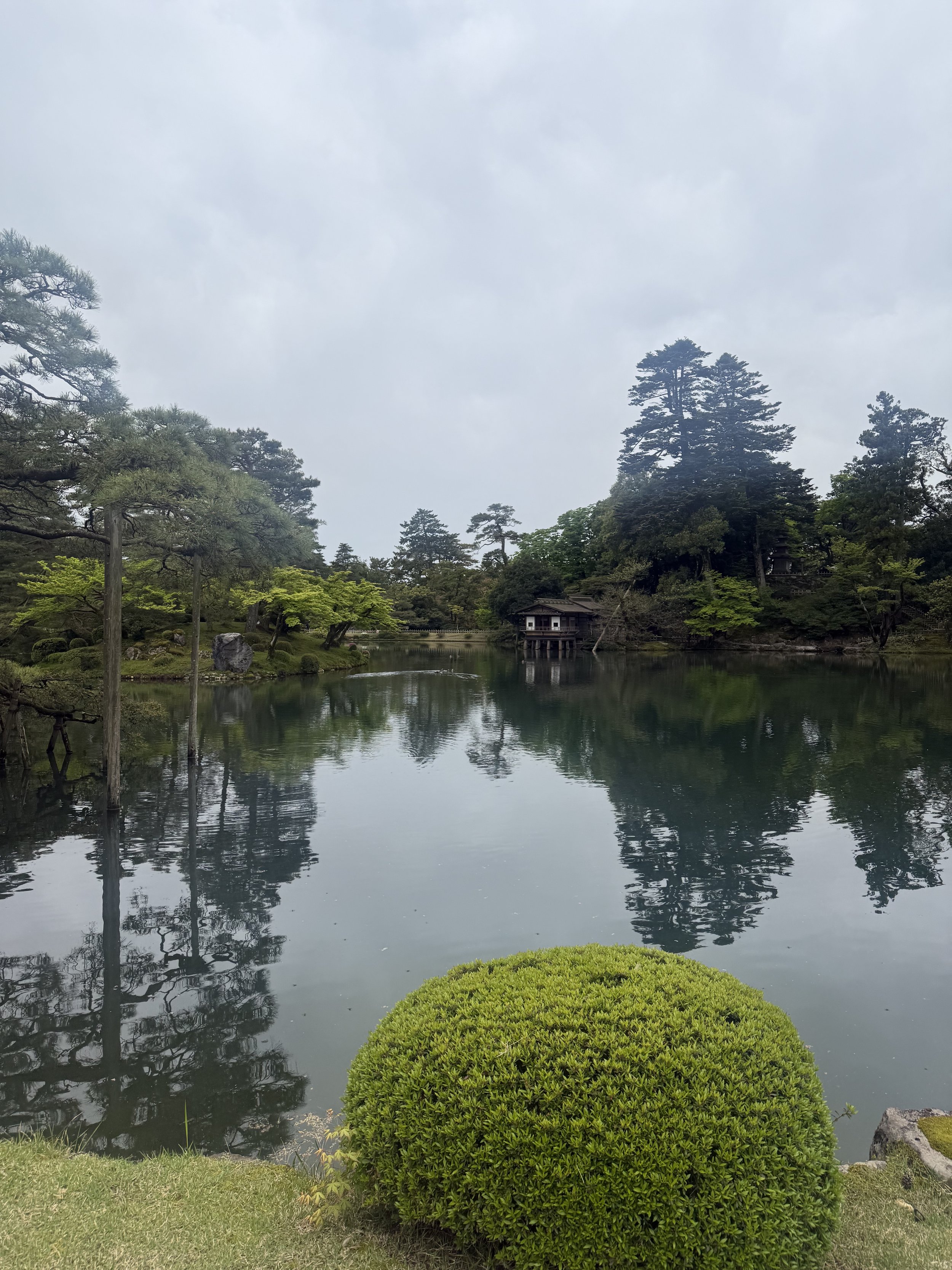 IMG_9507.jpeg