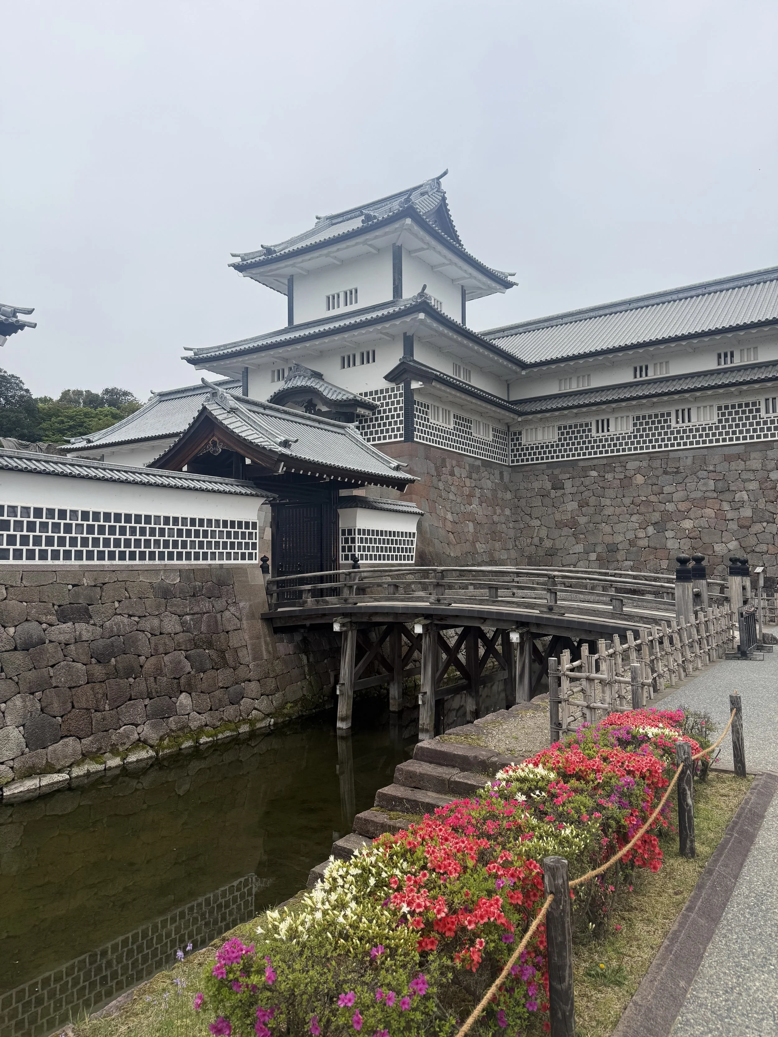 IMG_9520.jpeg