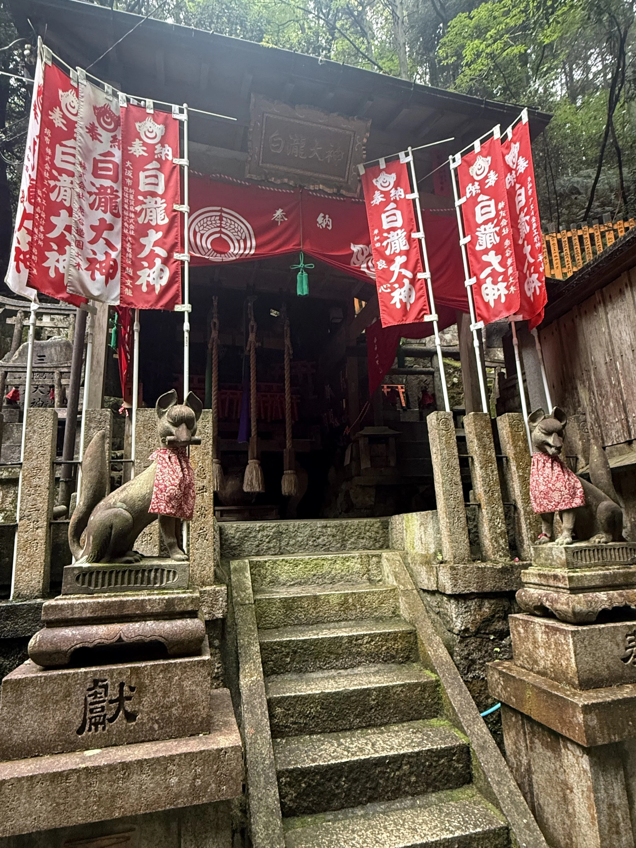 IMG_9565.jpeg