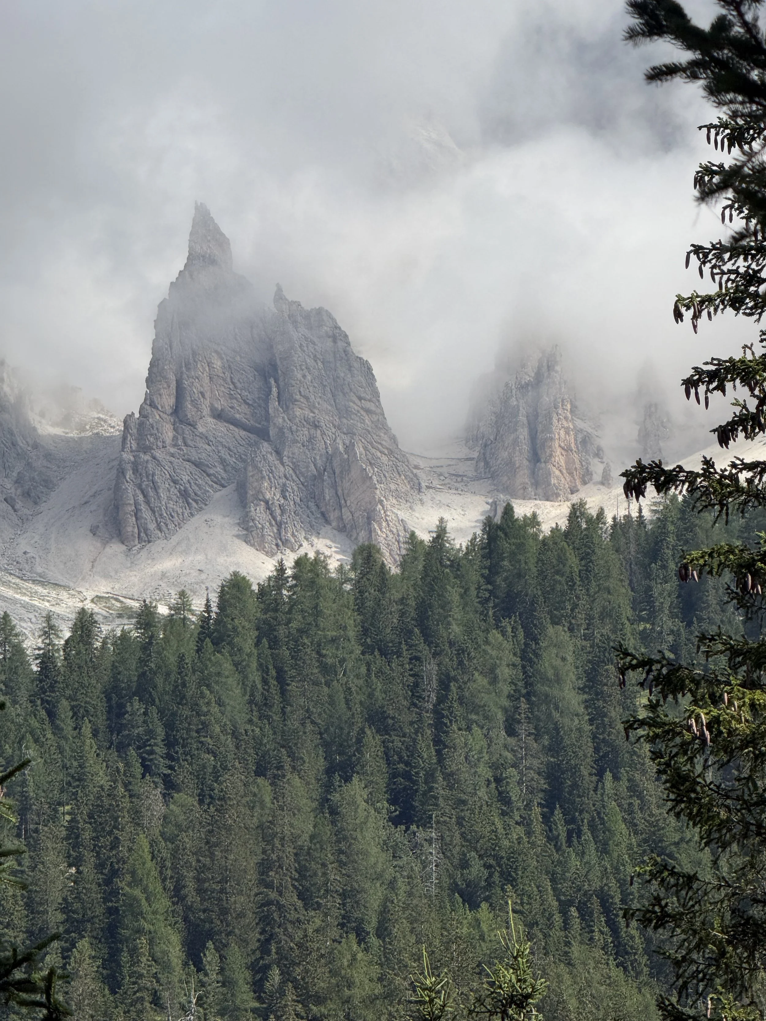 IMG_1837.jpeg