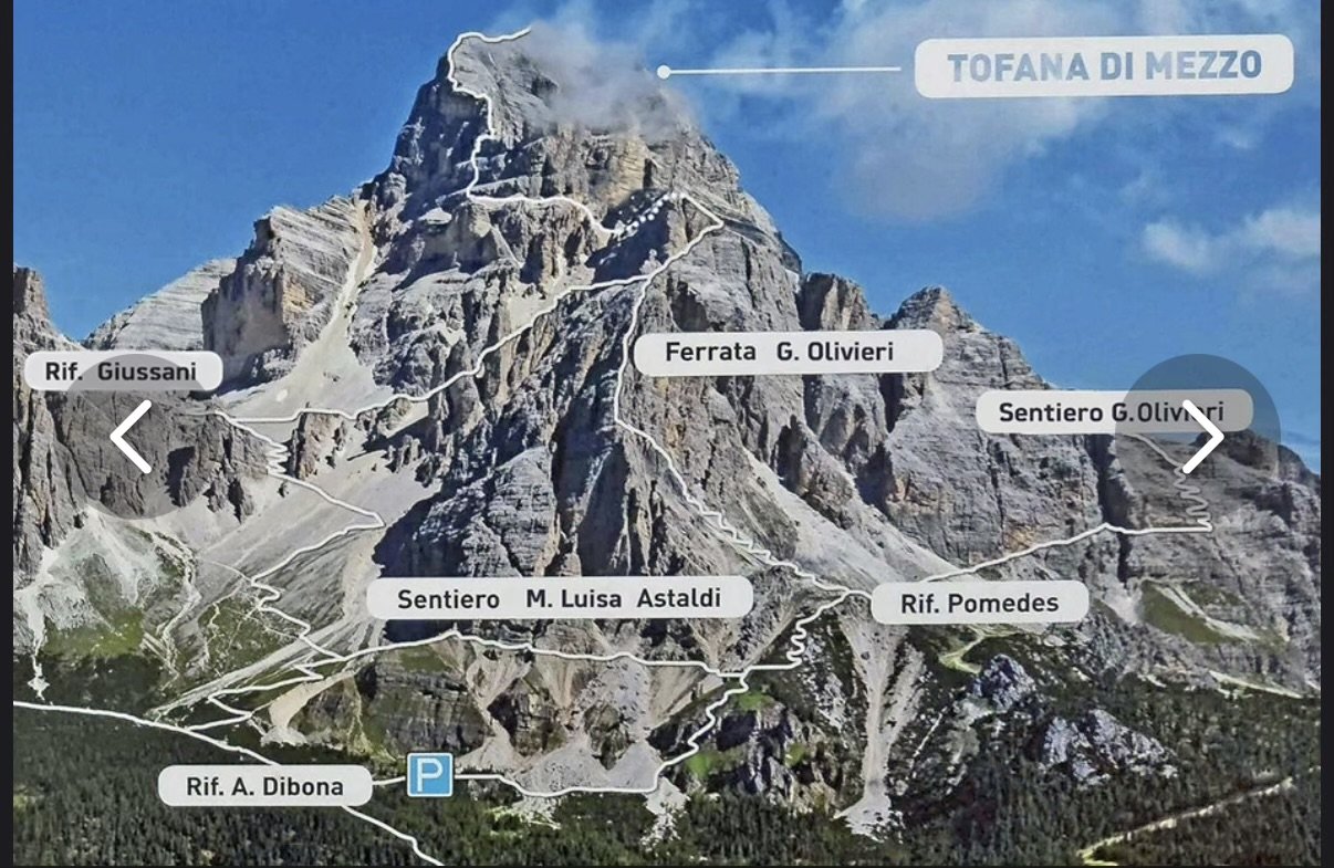 TOFANA DI MEZZO.jpeg