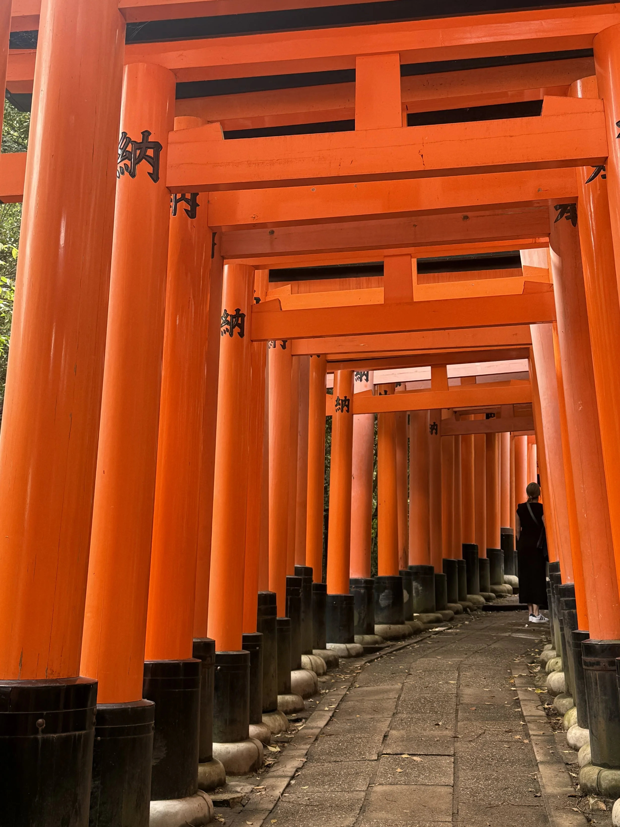 Travel Guide: Best things to do in Kyoto, Japan