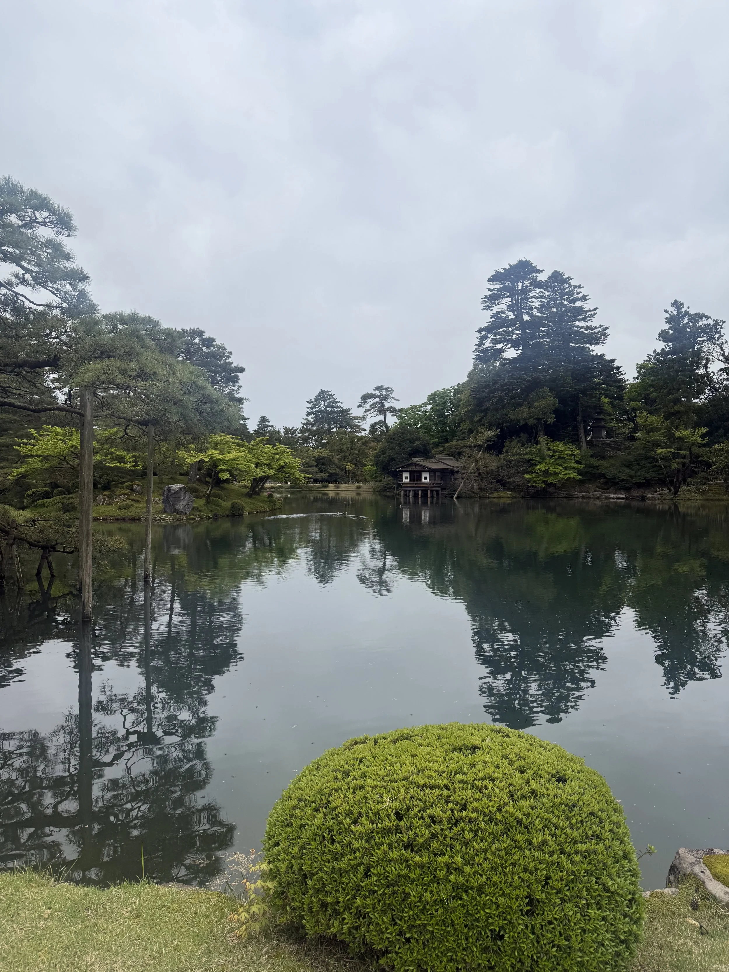 IMG_9507.jpeg