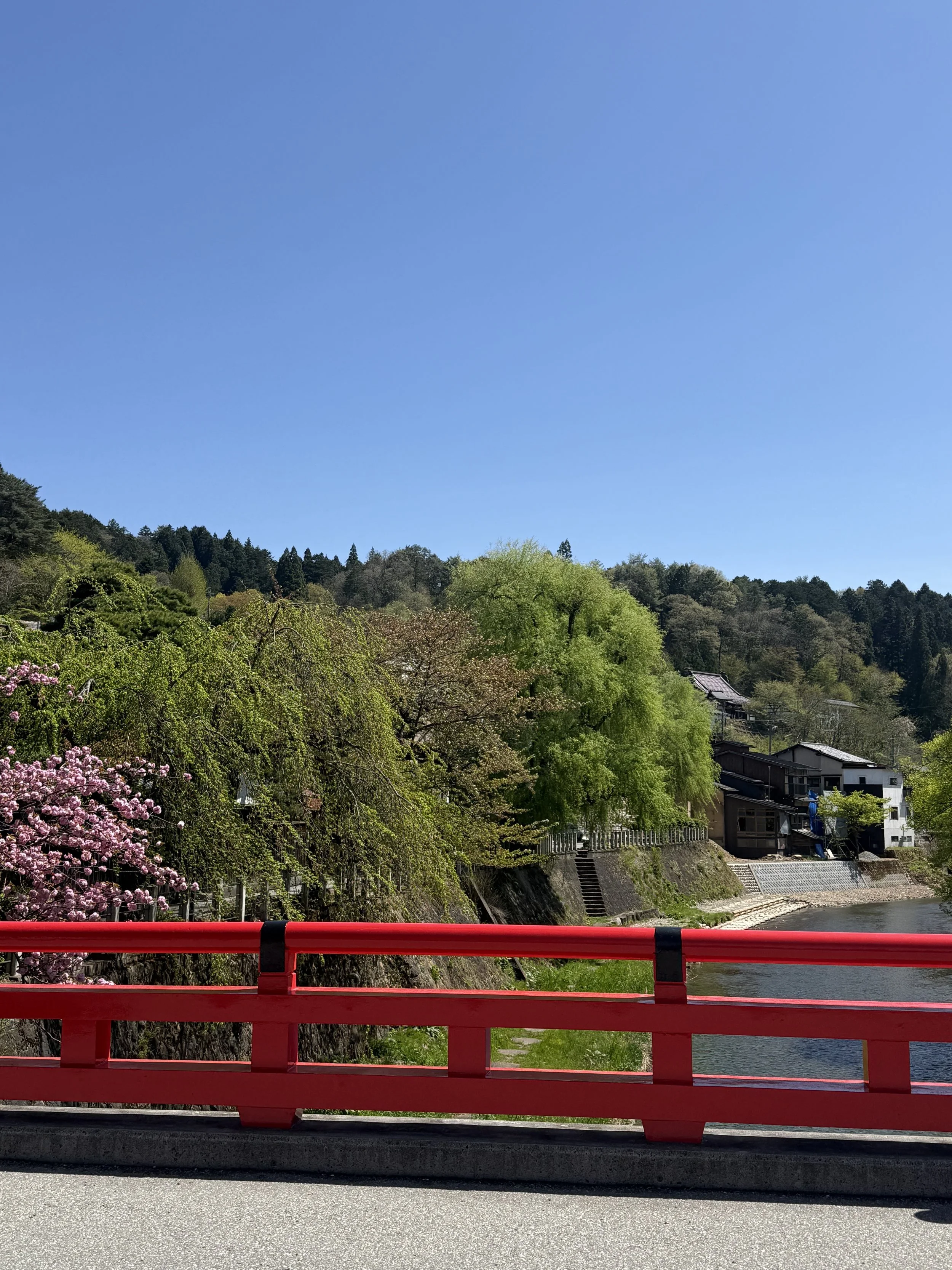 IMG_9341.jpeg