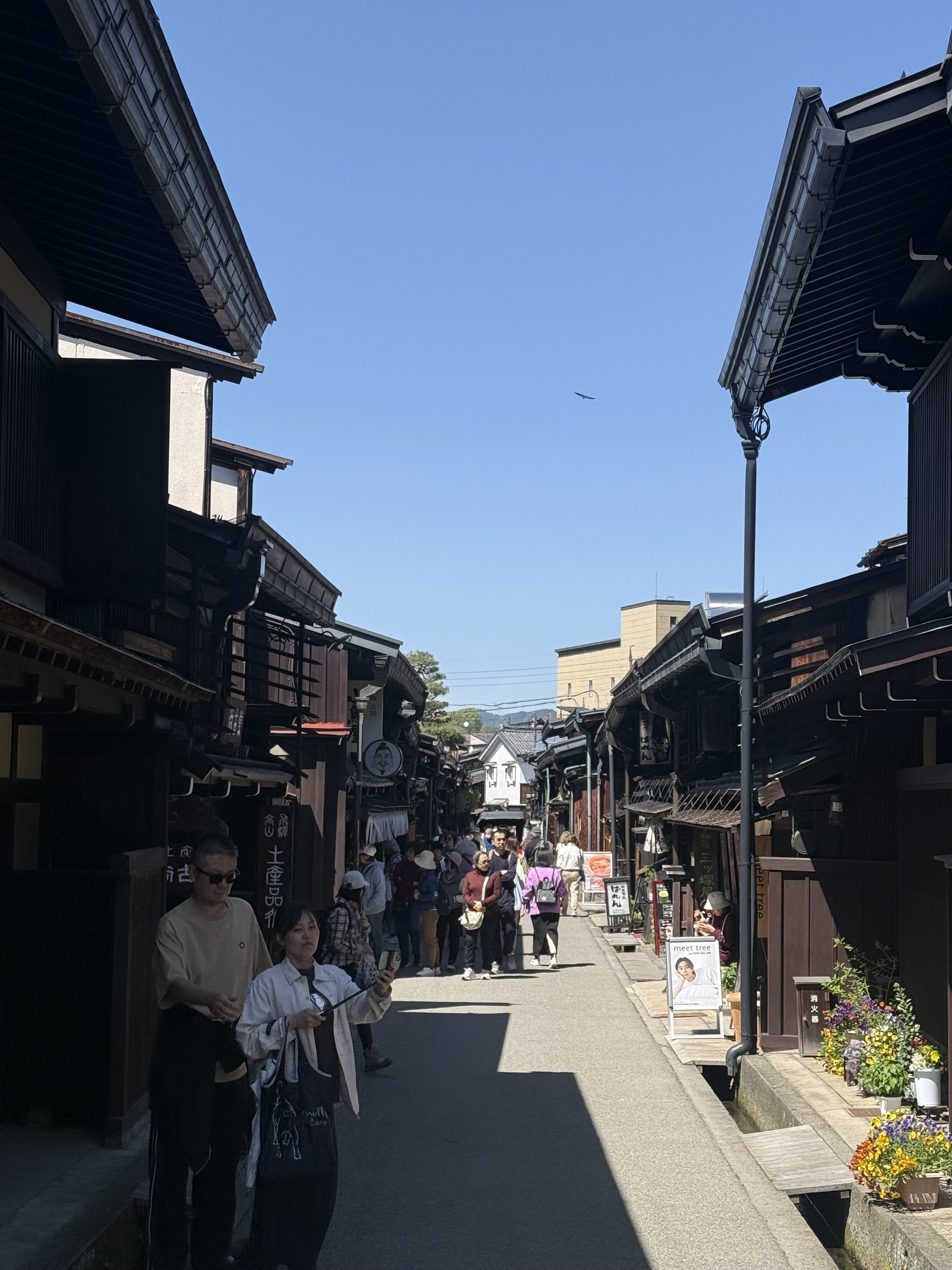 IMG_9345.jpeg