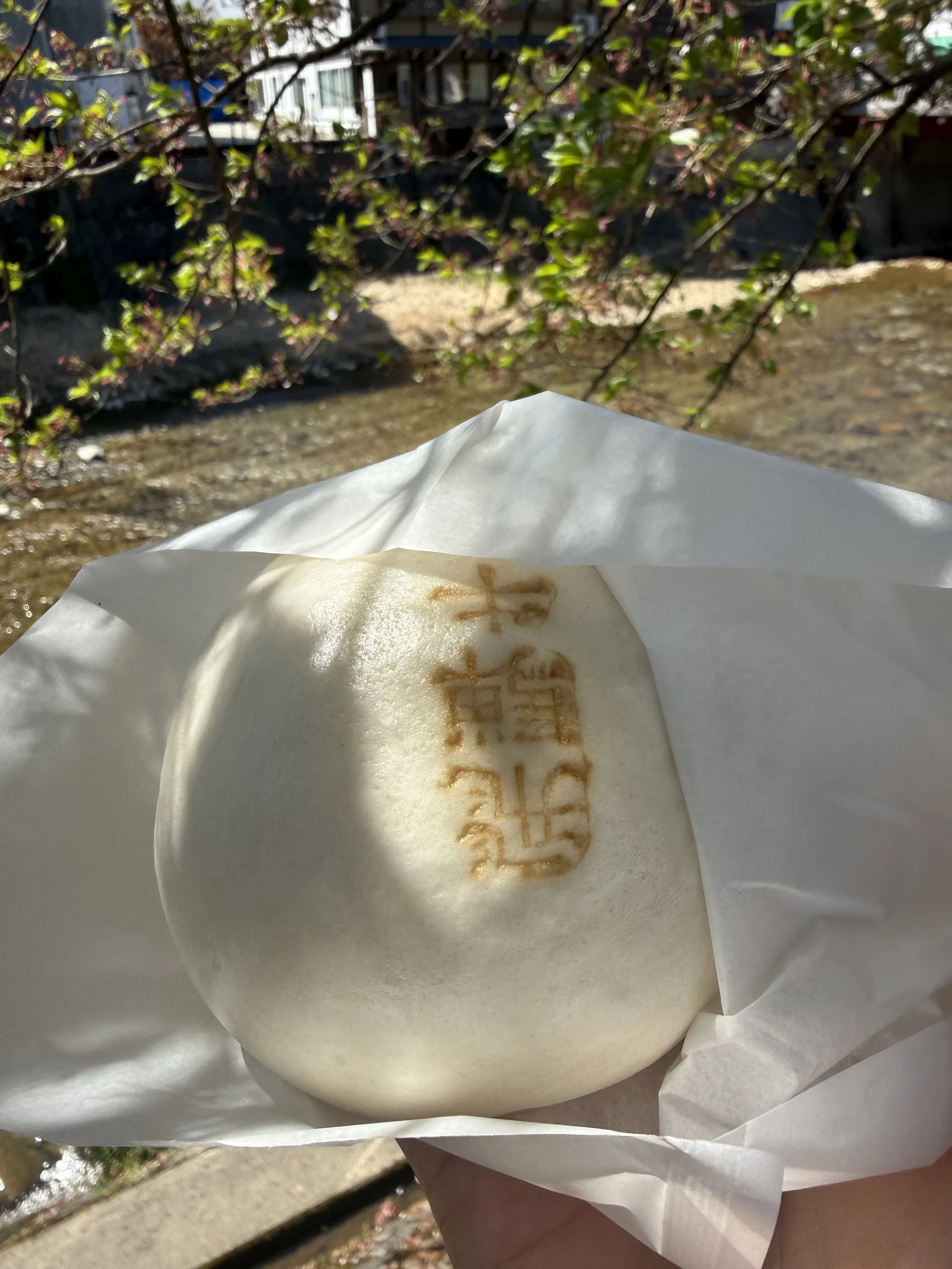 IMG_9338.jpeg