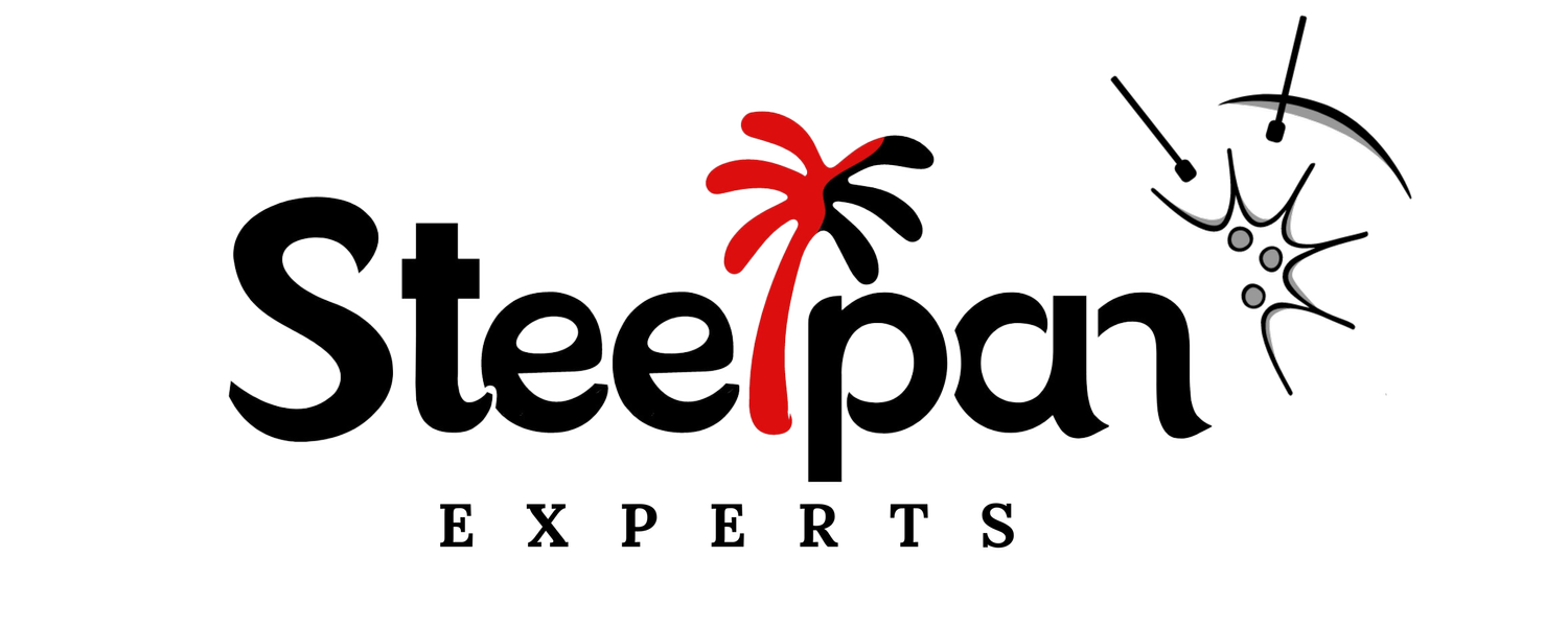 Steelpan Experts Germany 