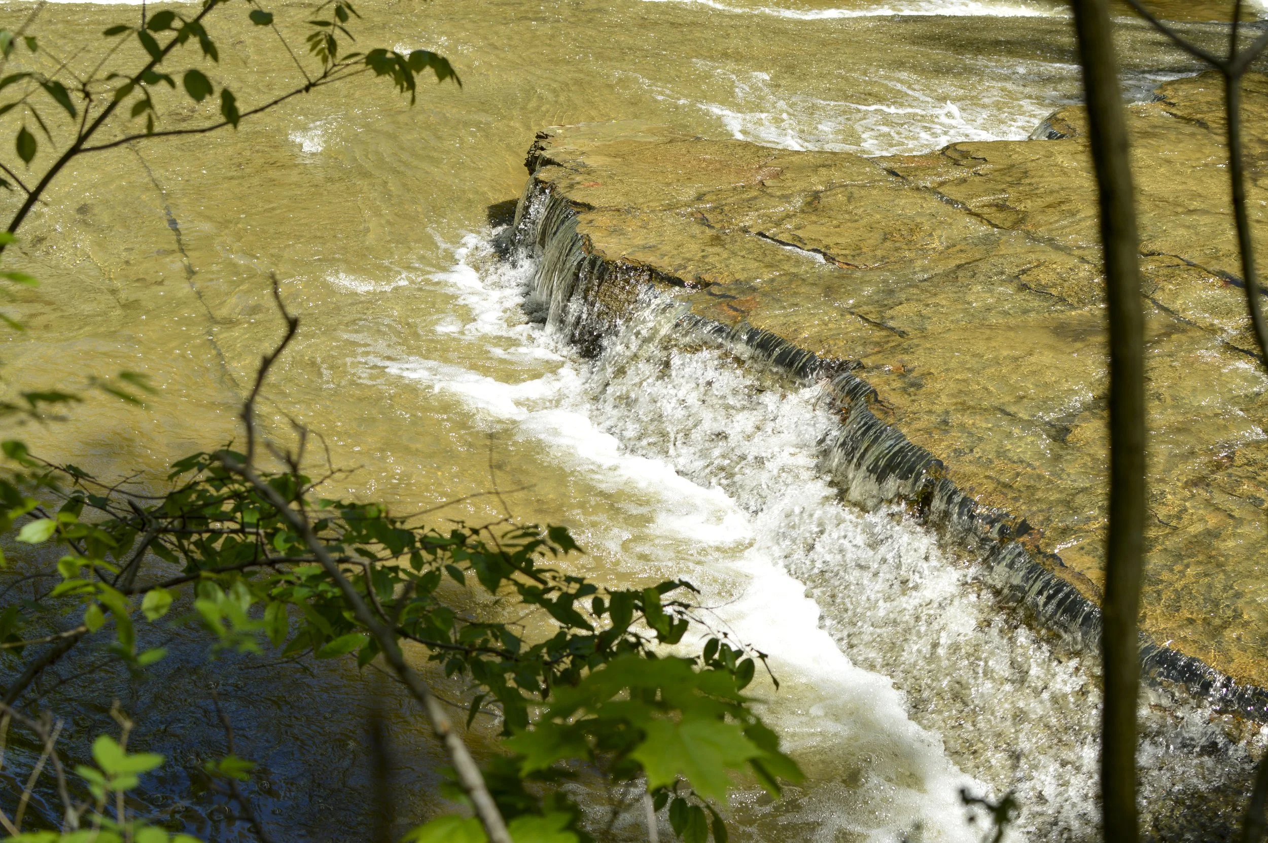 A small waterfall over a stone ledge in a river, surrounded by green leaves and branches.