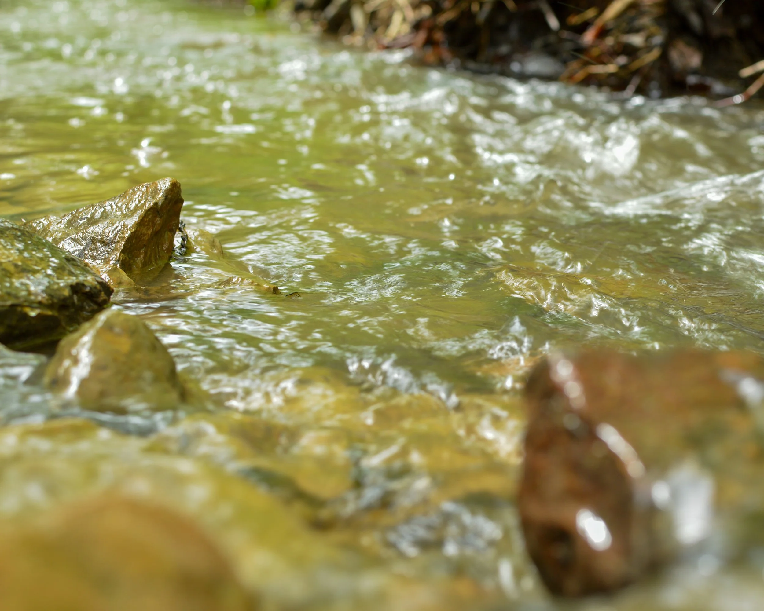 carved by water -1.jpg