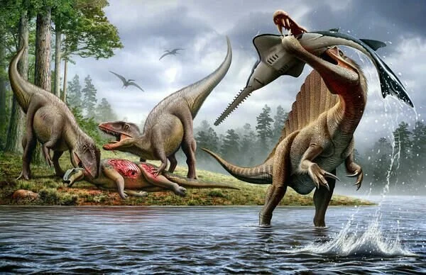Cretaceous Kem Kem Beds https://www.fossilera.com/pages/kem-kem-beds-history-paleoecology-and-importance?srsltid=AfmBOoqsj8MUZDwb29yYpDnYD89m2bgPA1FPtXdvVZtC1rFt5CCfKRIE