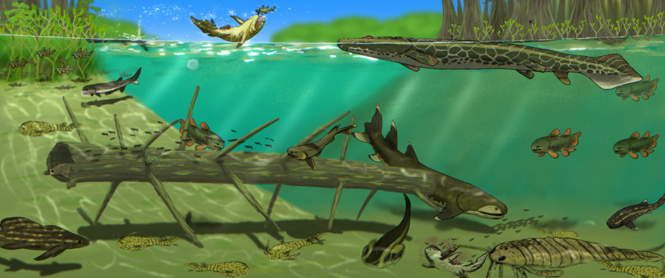 Shallow Seas of the Devonian featuring wood-decomposition, forestry, He who needs to be silenced, CC BY 4.0  , via Wikimedia Commons