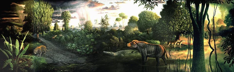 Eocene Forests-Open Access