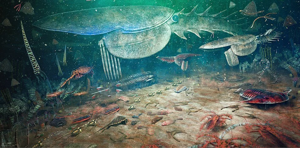Reconstruction of Fezouata Biota, PaleoEquii, CC BY 4.0  , via Wikimedia Commons