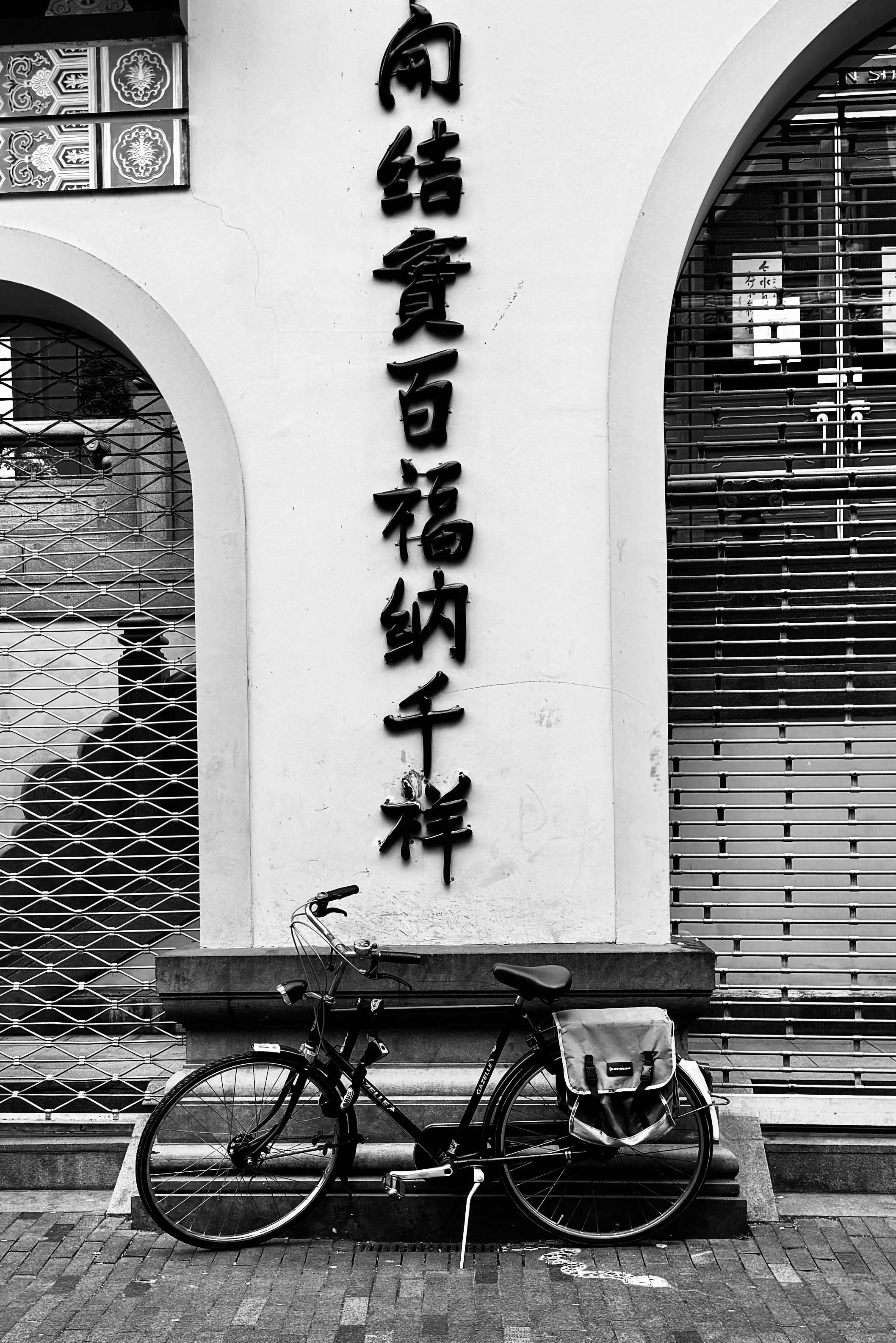 IMG_8306.jpeg