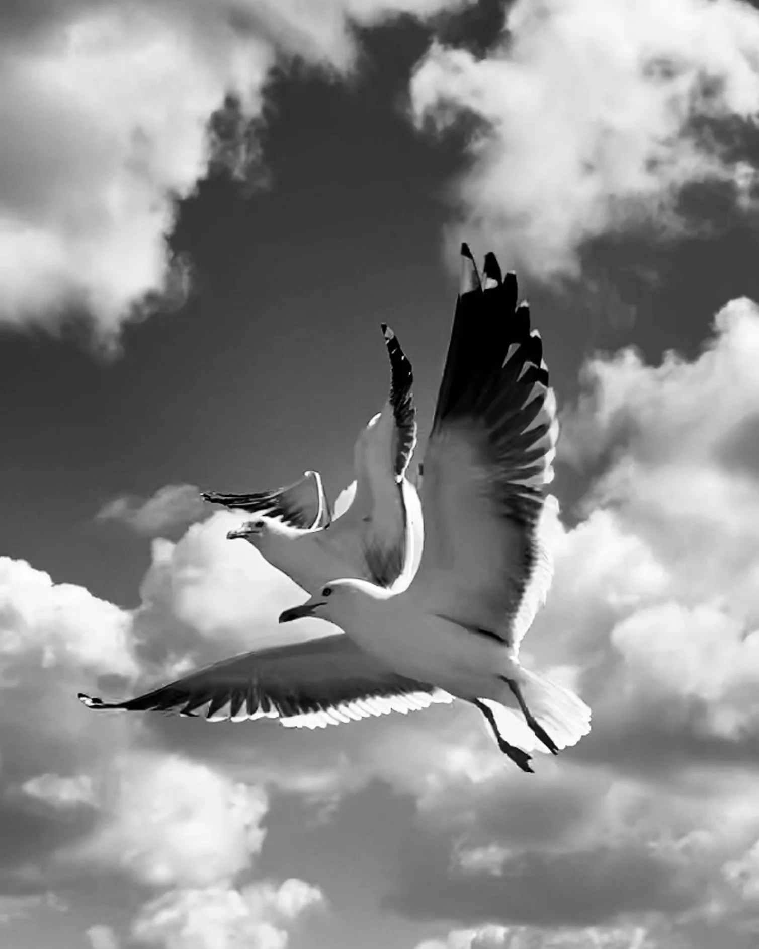 49A00D6D-0A95-4662-A8F4-750F7AF0C547.jpeg