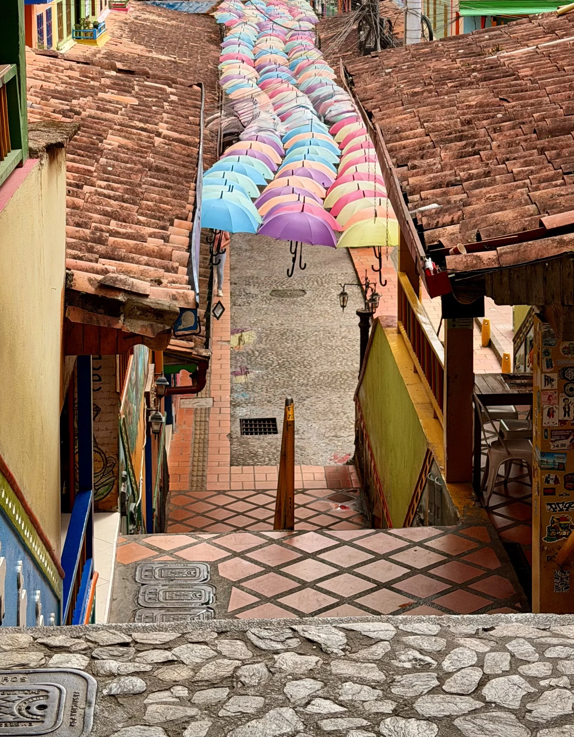IMG_3395.jpeg