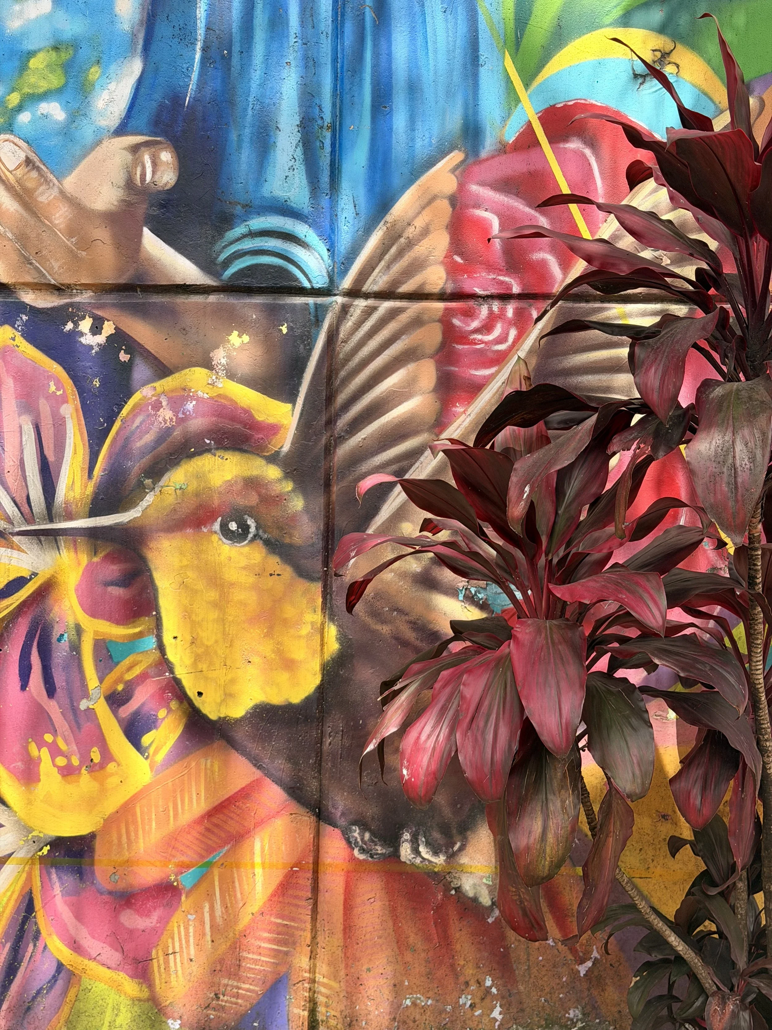 Colorful hummingbird street mural framed by deep red foliage