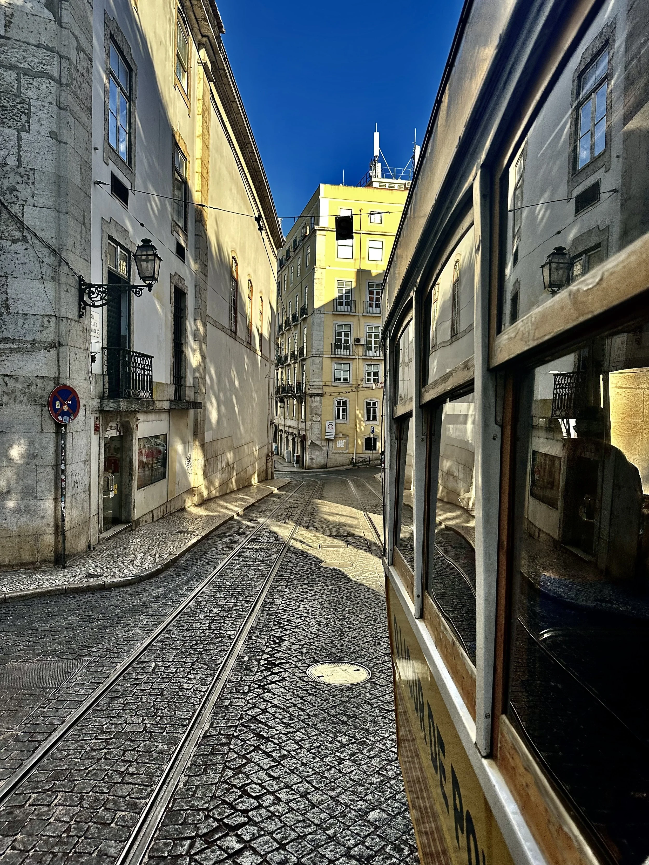 IMG_7911.jpeg