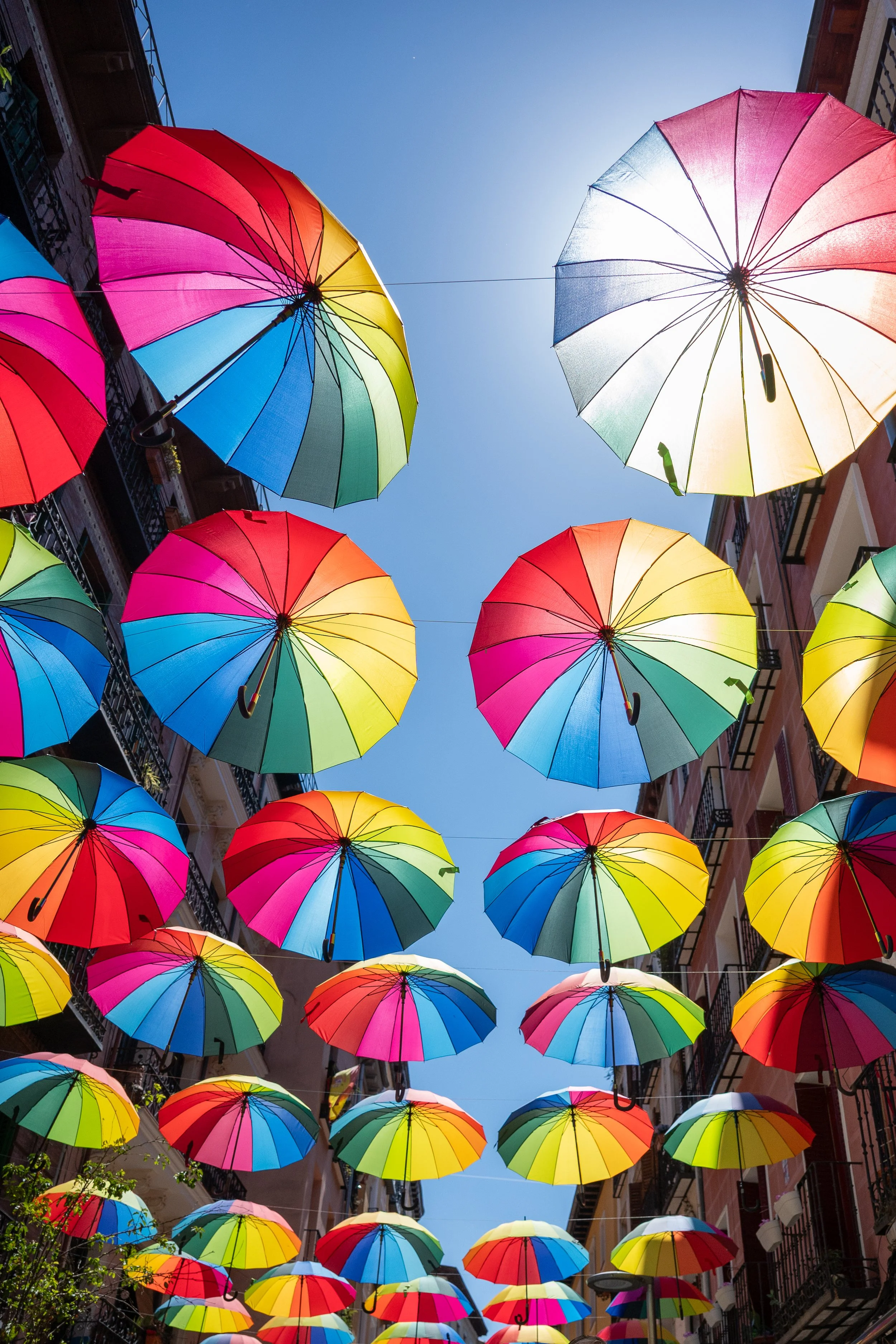 Rainbow of open umbrellas strung overhead against a blue sky