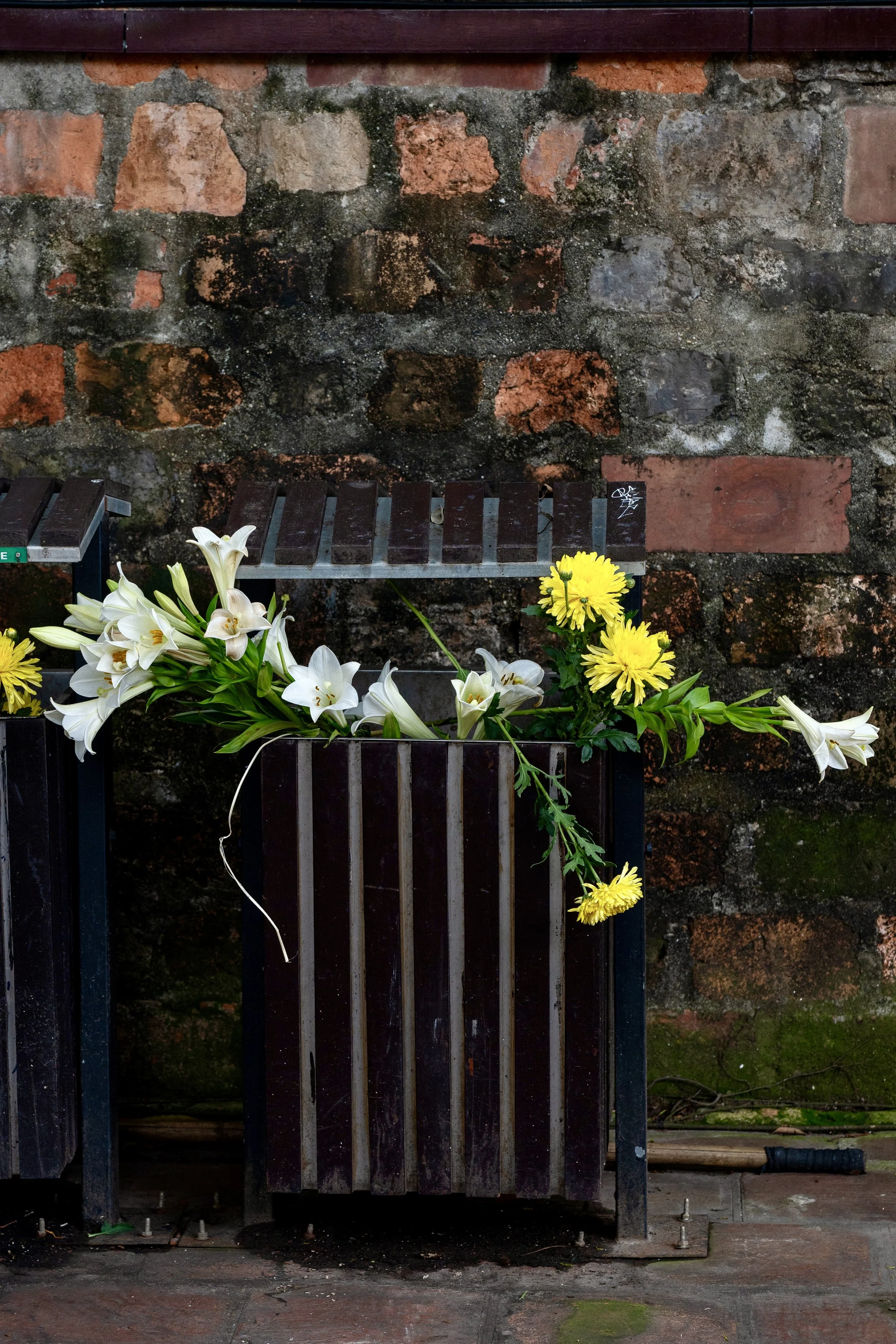 DSC_0277-2.jpeg