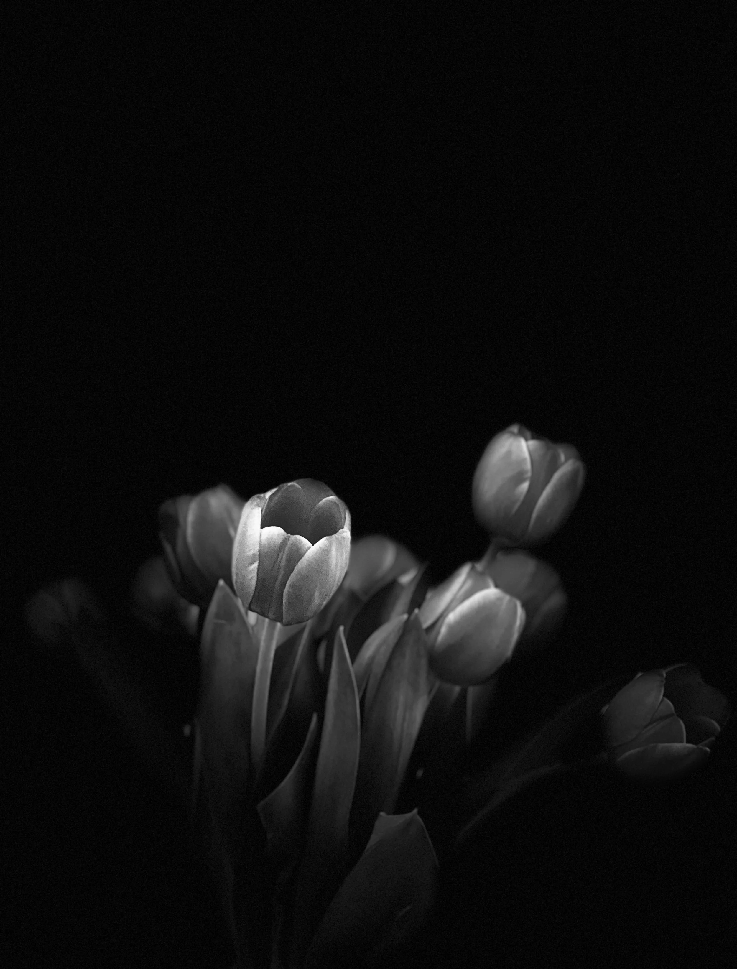 IMG_3306.jpeg