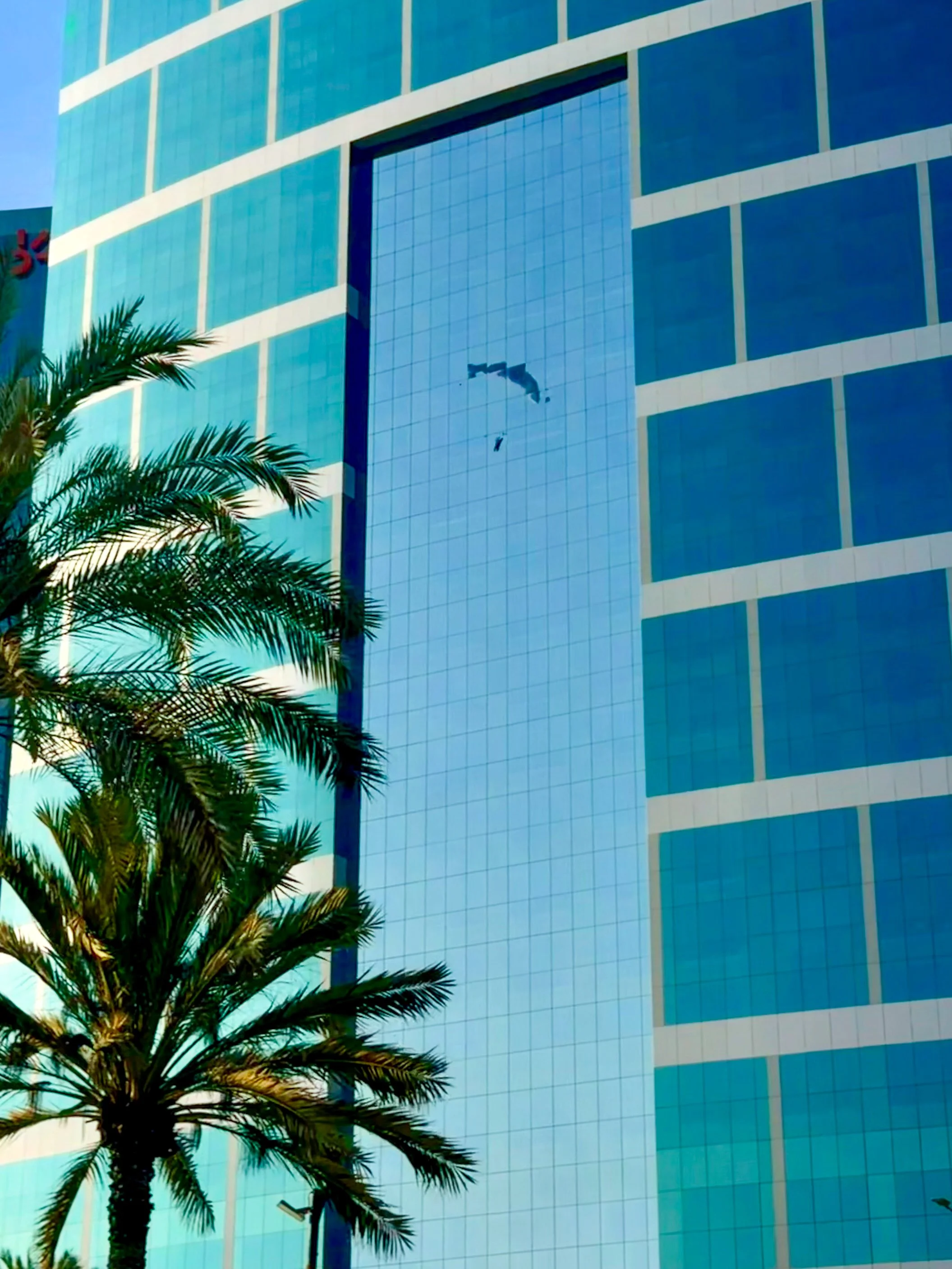 Palm tree silhouette against a glass-paneled blue skyscraper