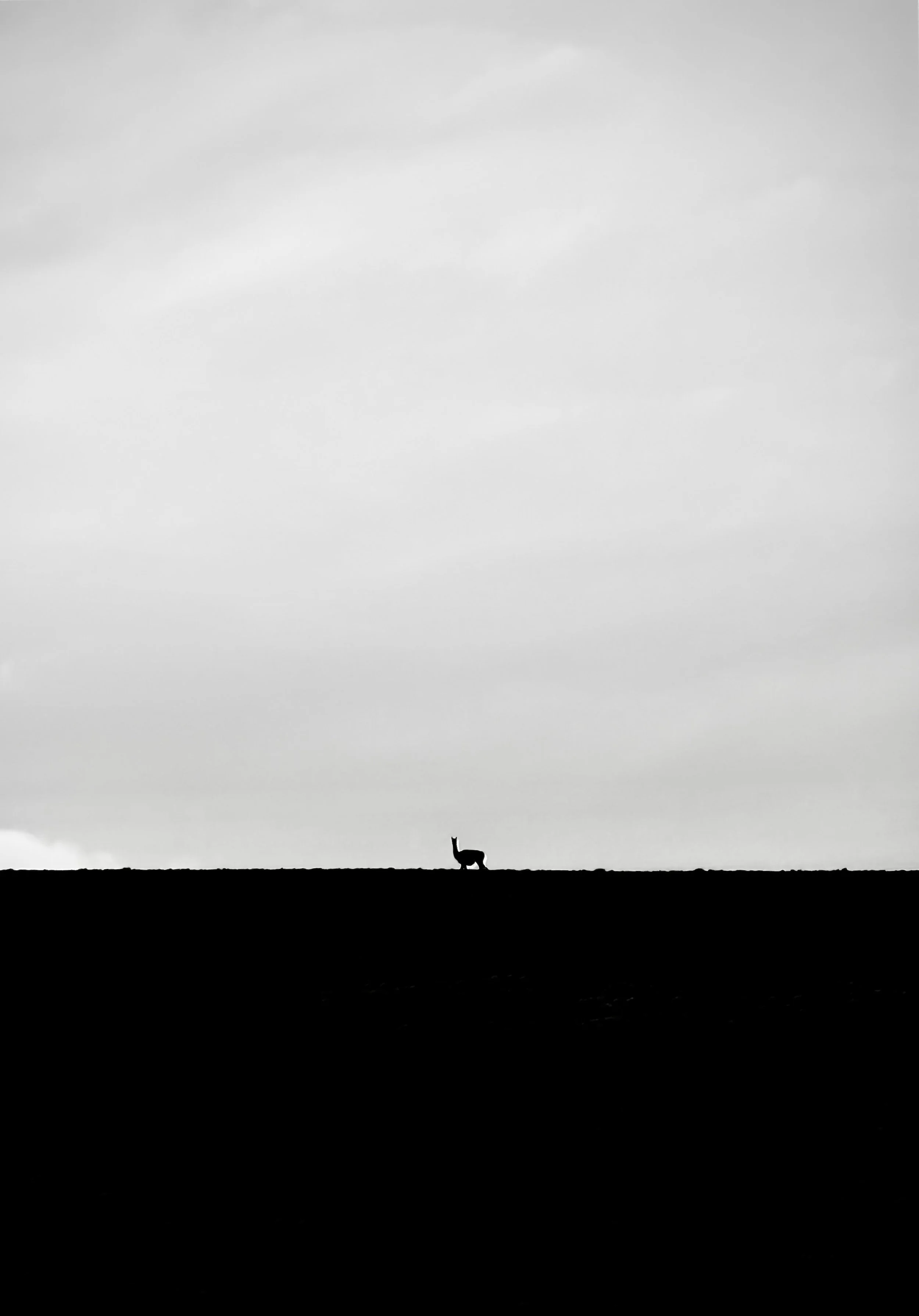 IMG_0432.jpeg