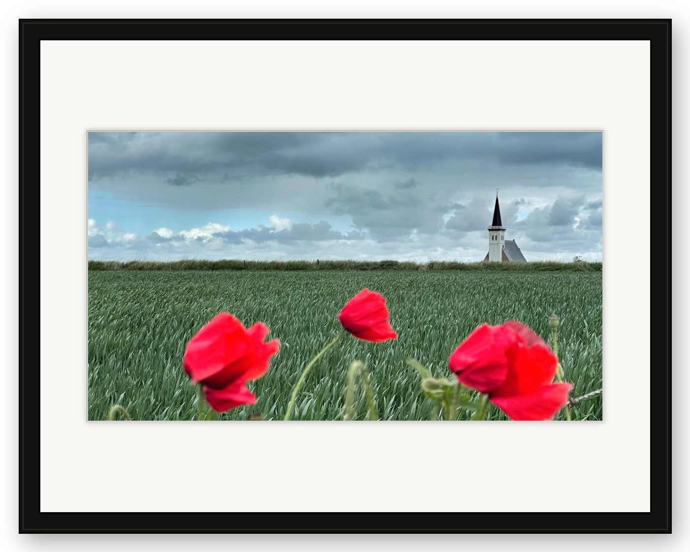 Poppy