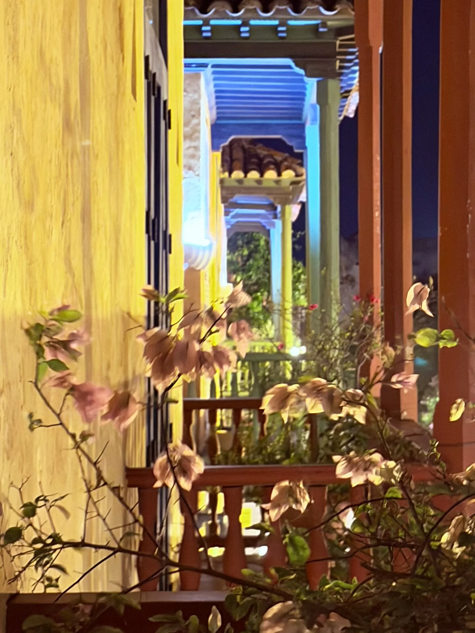 Illuminated colonial-style balconies at night with flowering branches in the foreground