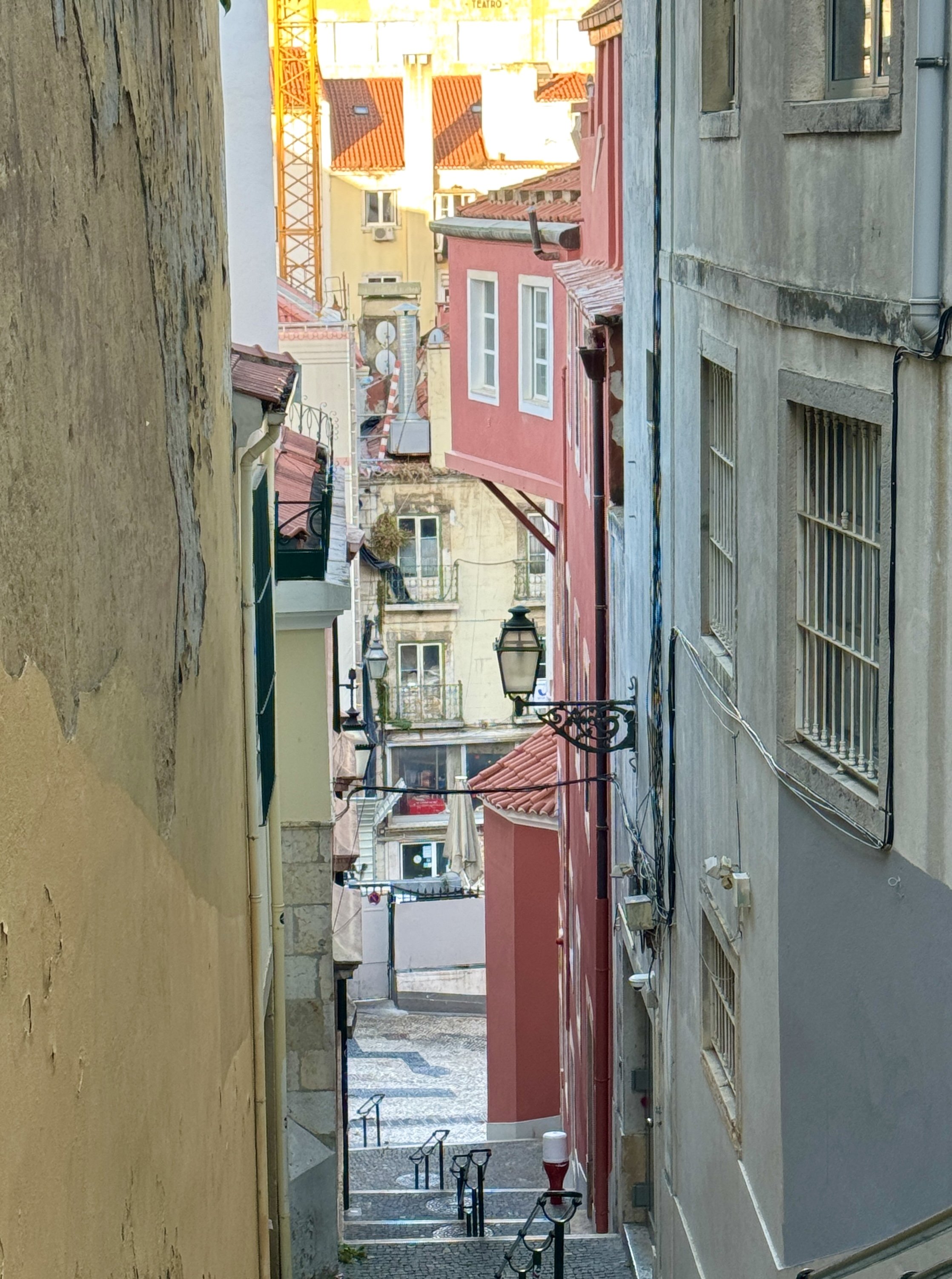 IMG_6895.jpeg