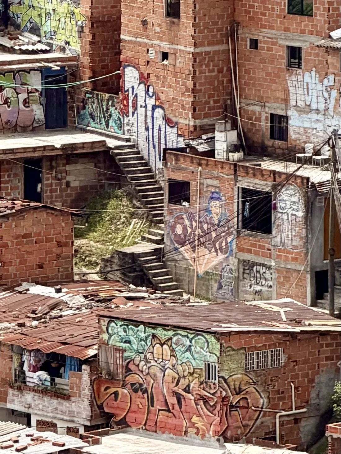 IMG_3307.jpeg