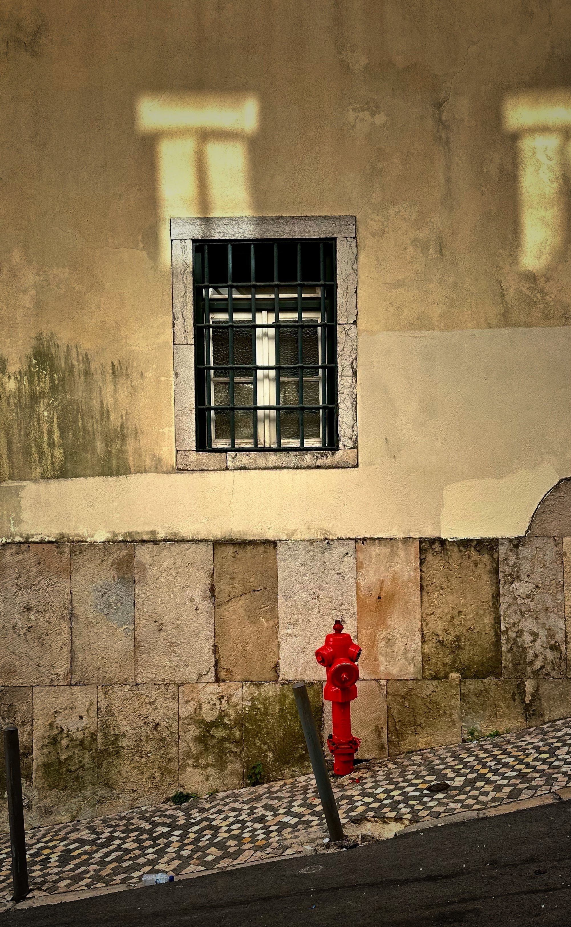 IMG_7818.jpeg