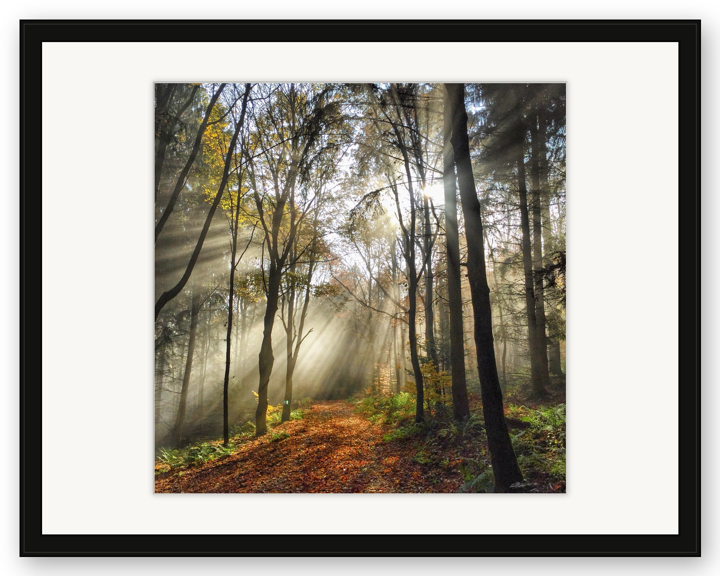 Autumn
