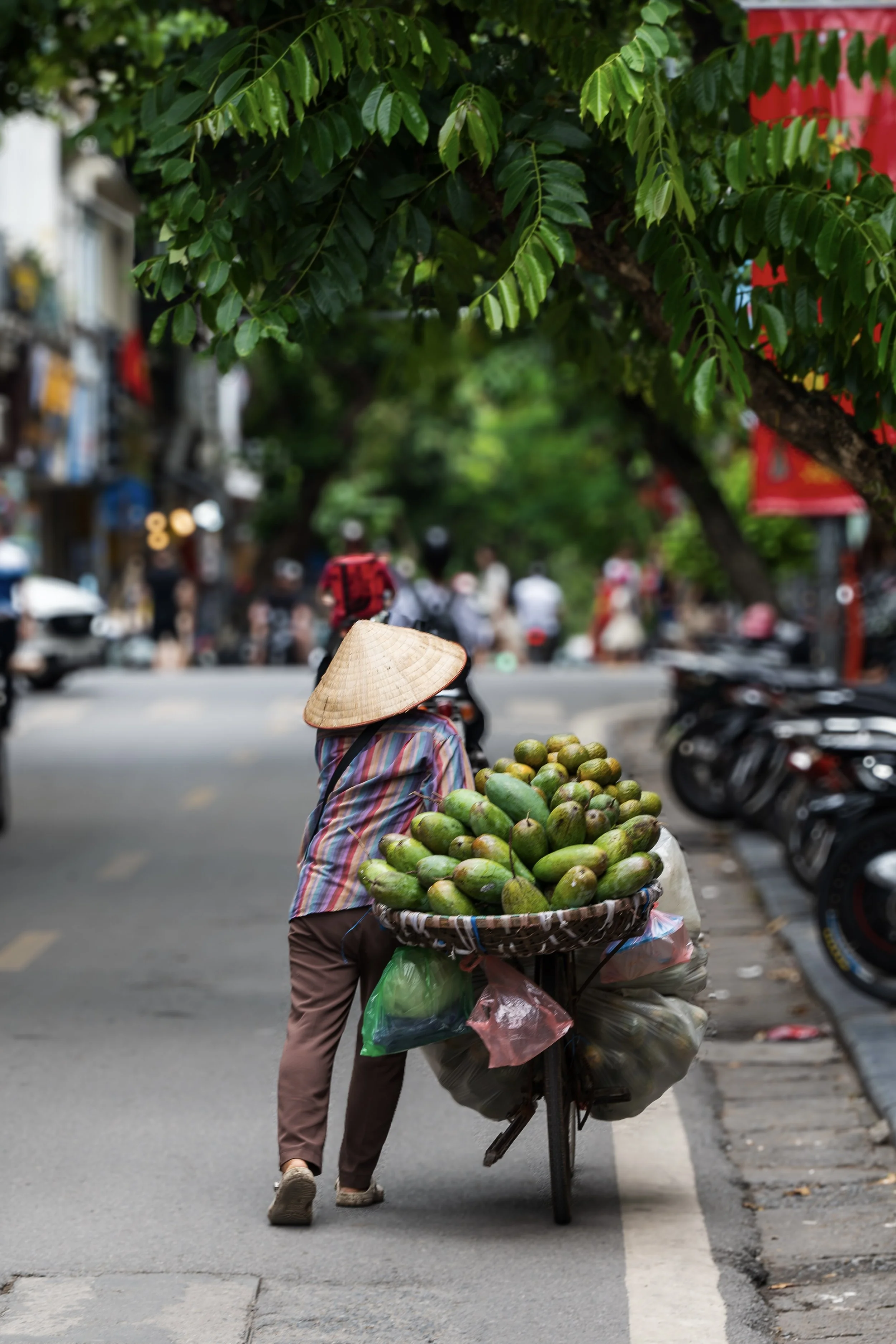 DSC_0307-2.jpeg