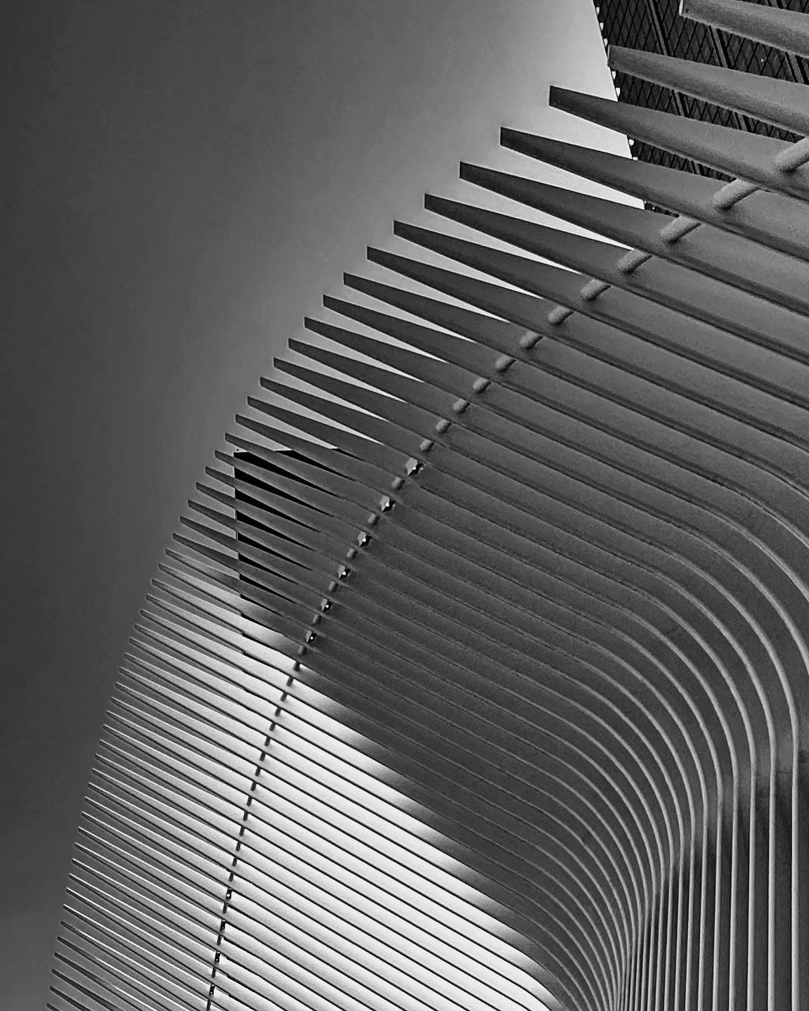 D5638B97-9D74-4F2A-A125-DB8D7B865525.jpeg
