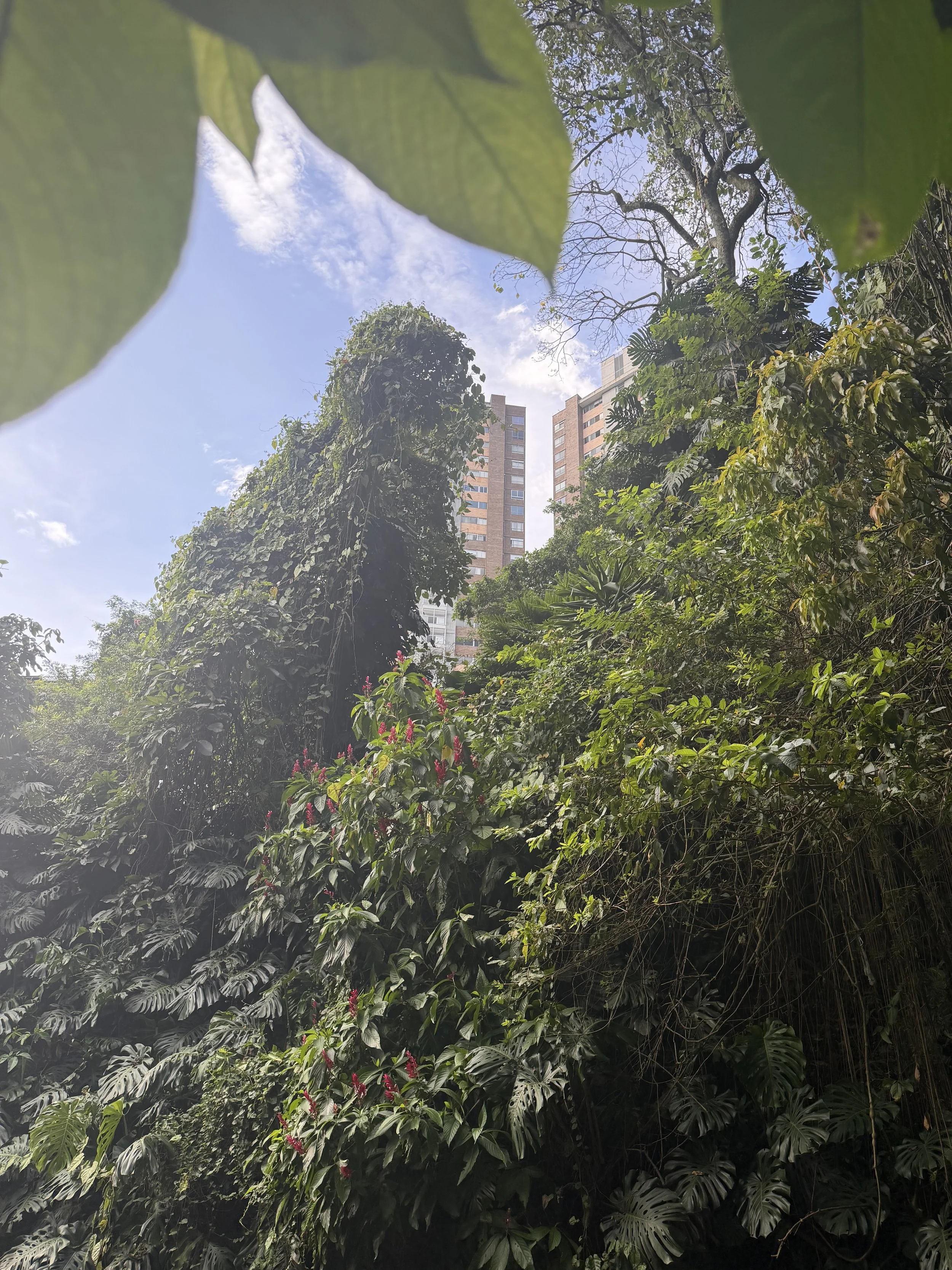 IMG_3227.jpeg