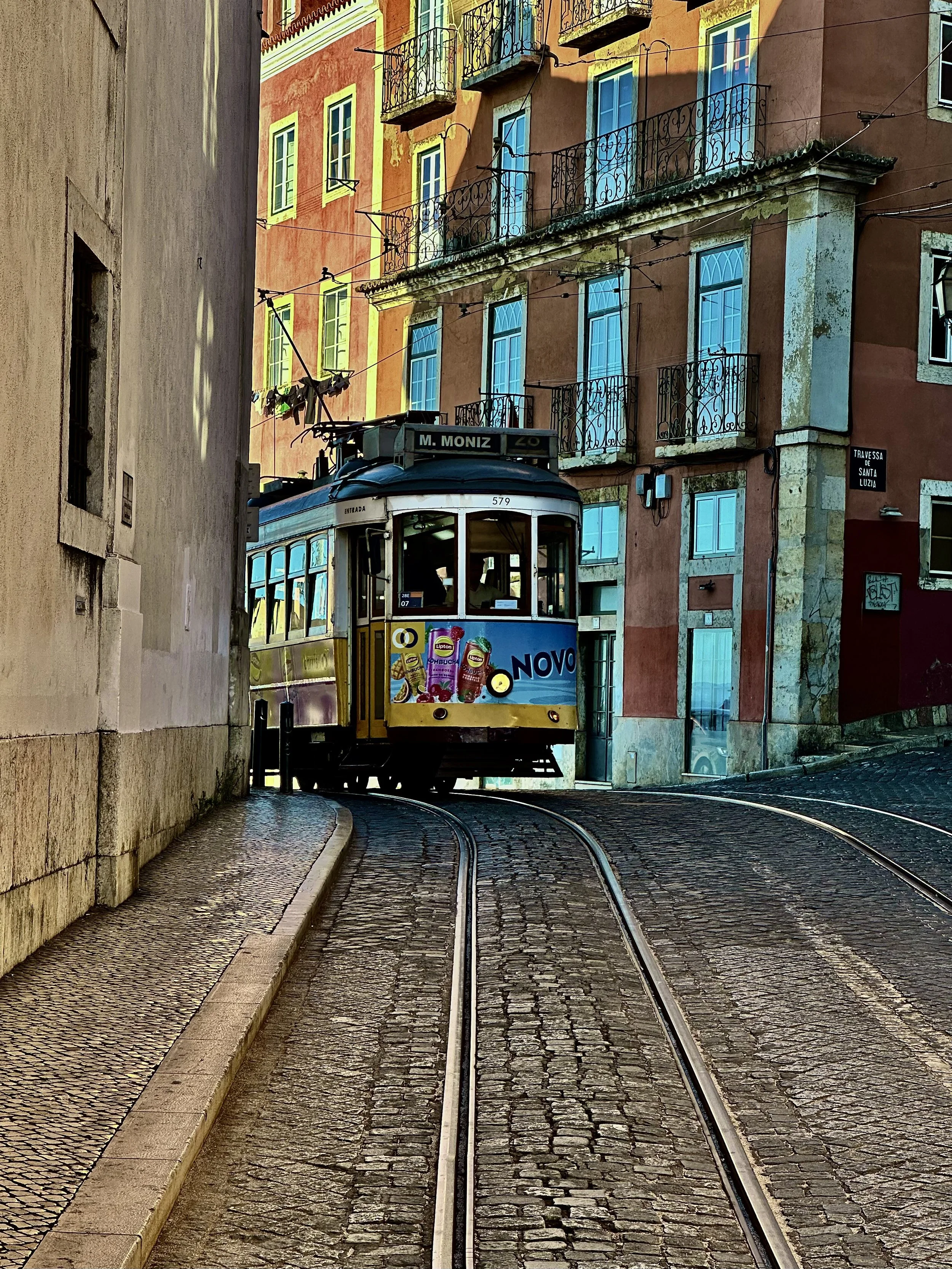 IMG_7902.jpeg