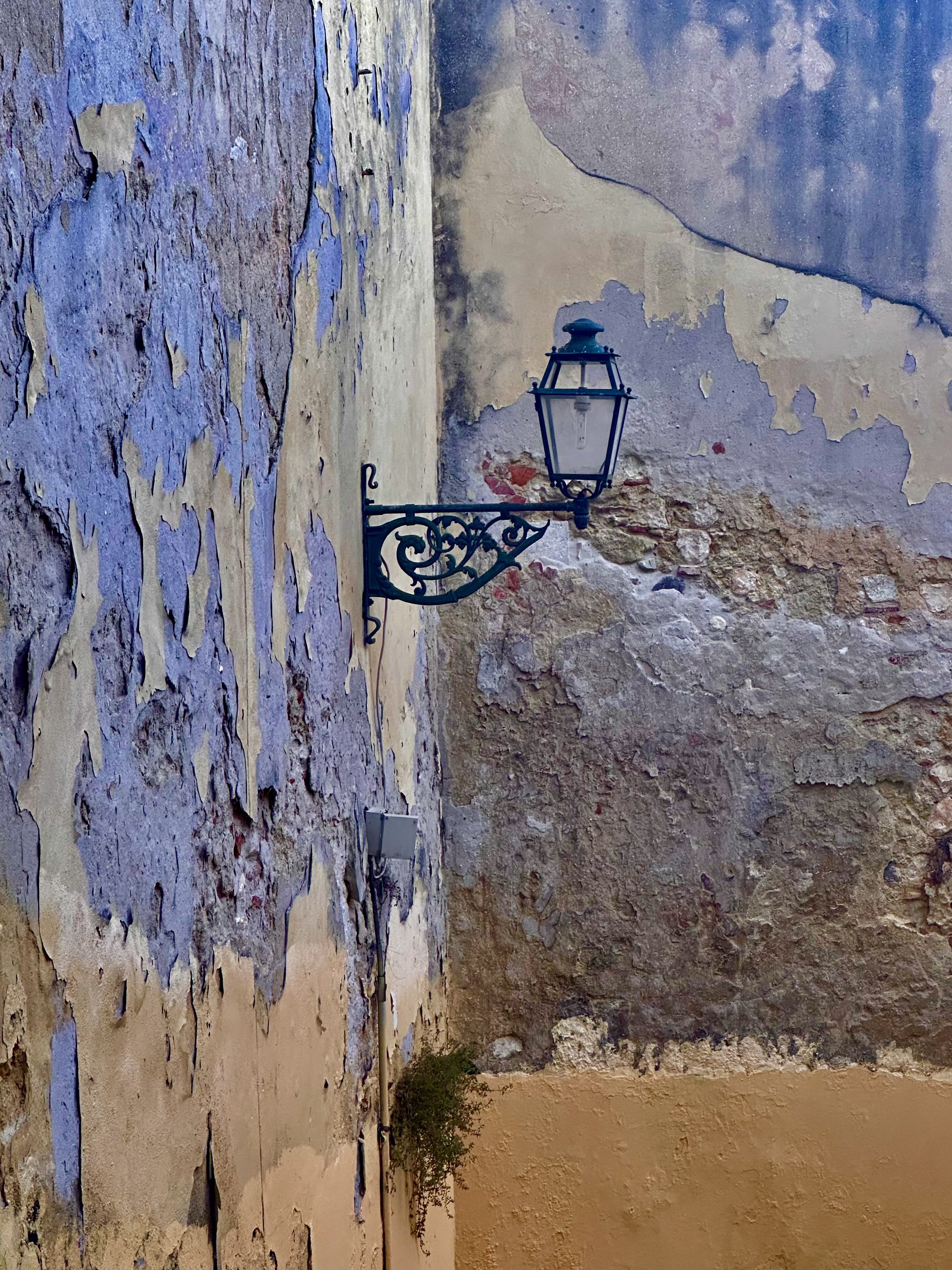 IMG_7764.jpeg